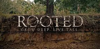 Rooted