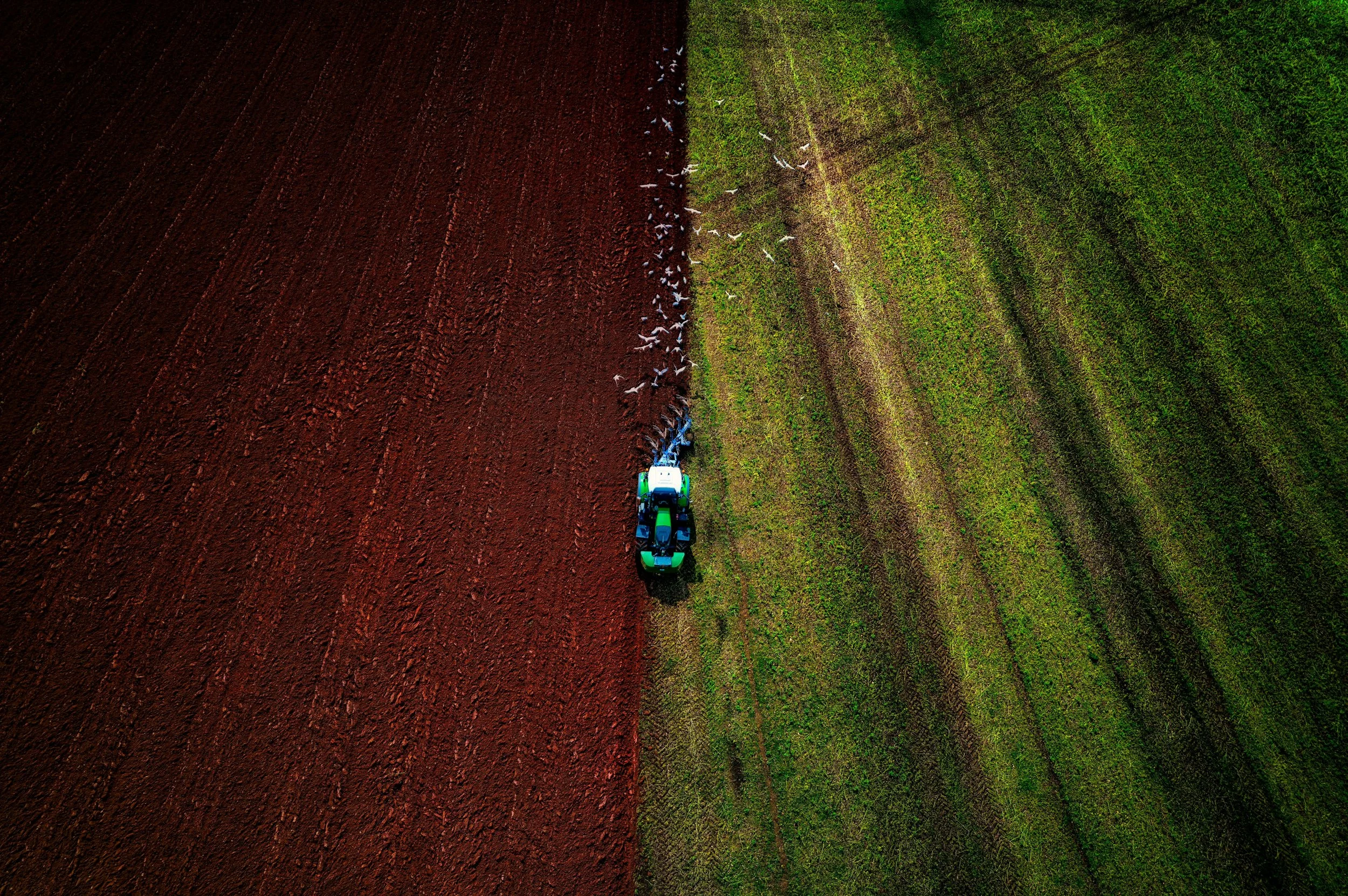 The Algorithm Farming Energy