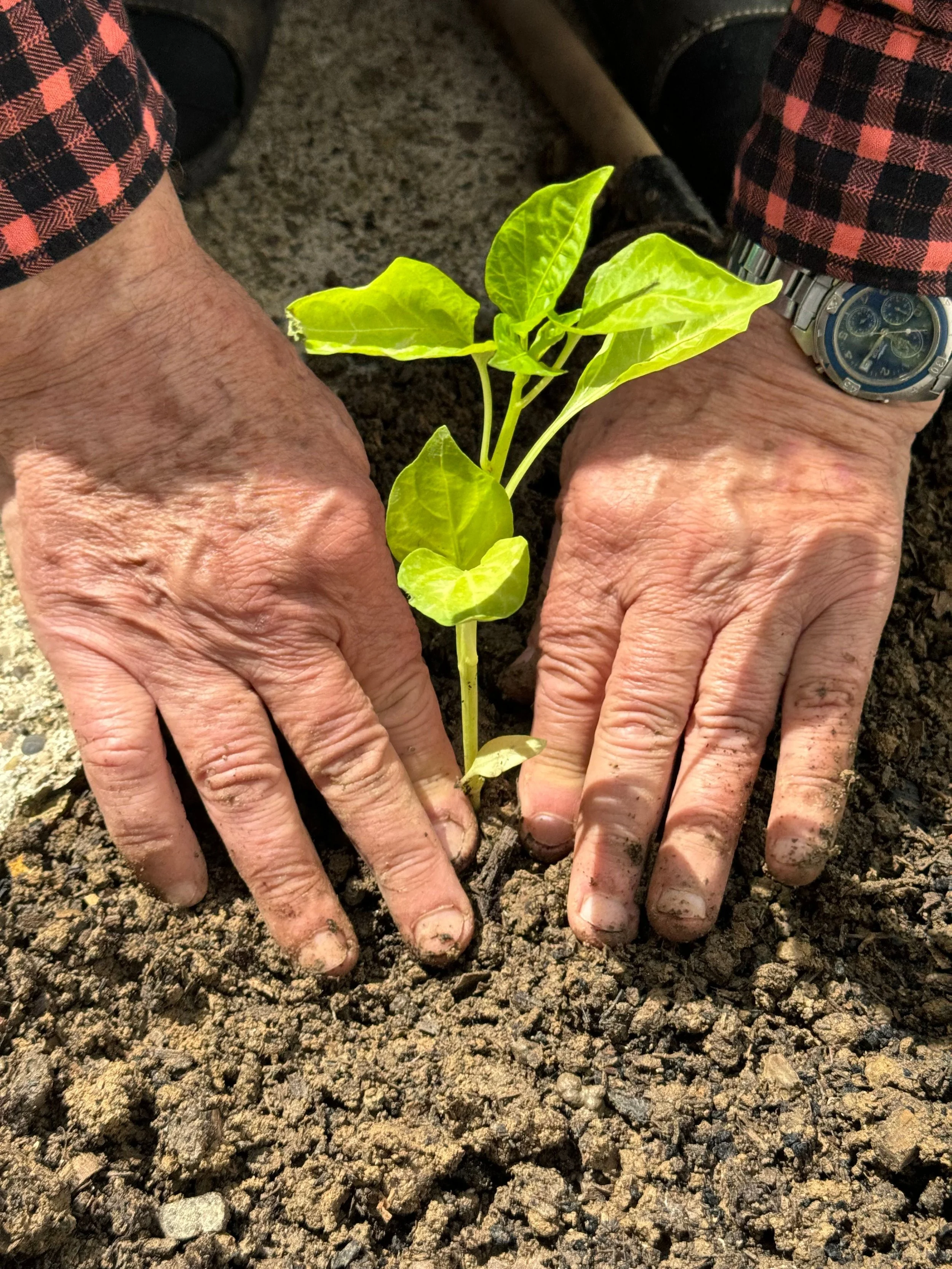 Patience Pays in AgTech