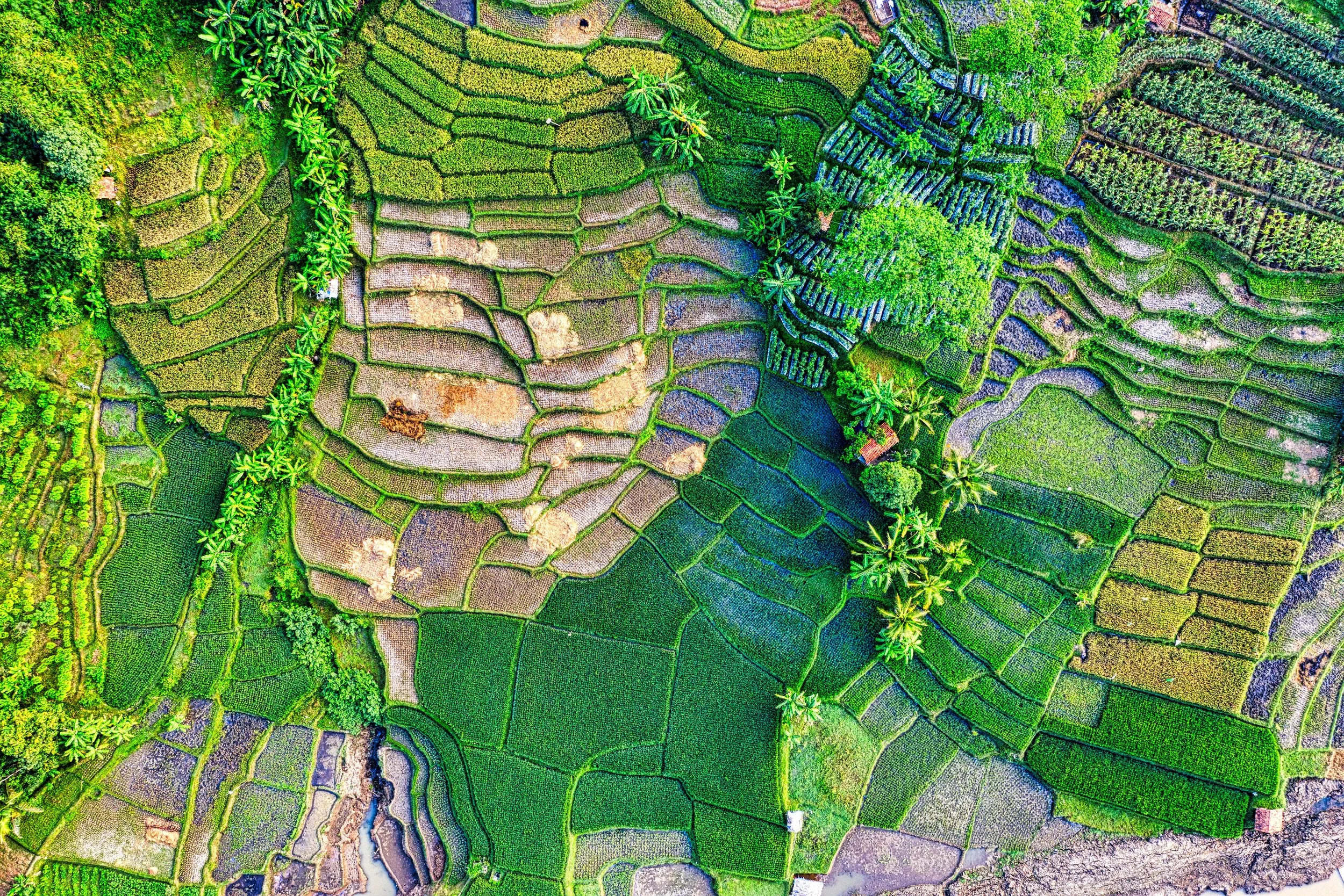 Beyond Maps: Actionable Field Intelligence