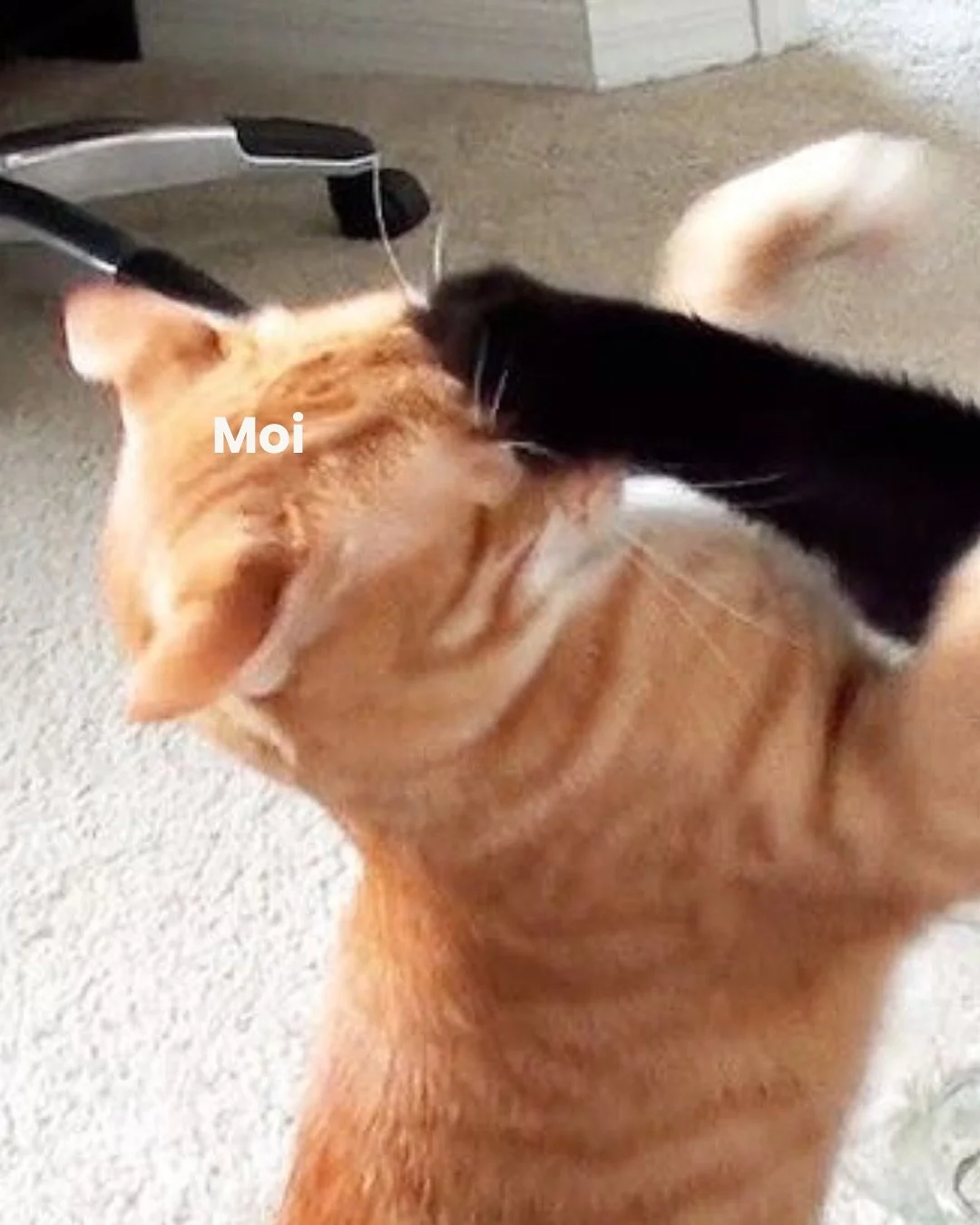 Ça aurait pu se terminer comme ça, mais heureusement on dit stop avant…
Parce qu’un jour, avec ma meuf, on a décidé de bosser ensemble. Une fois. Et croyez-moi : plus jamais. (Pour le bien de notre couple ET