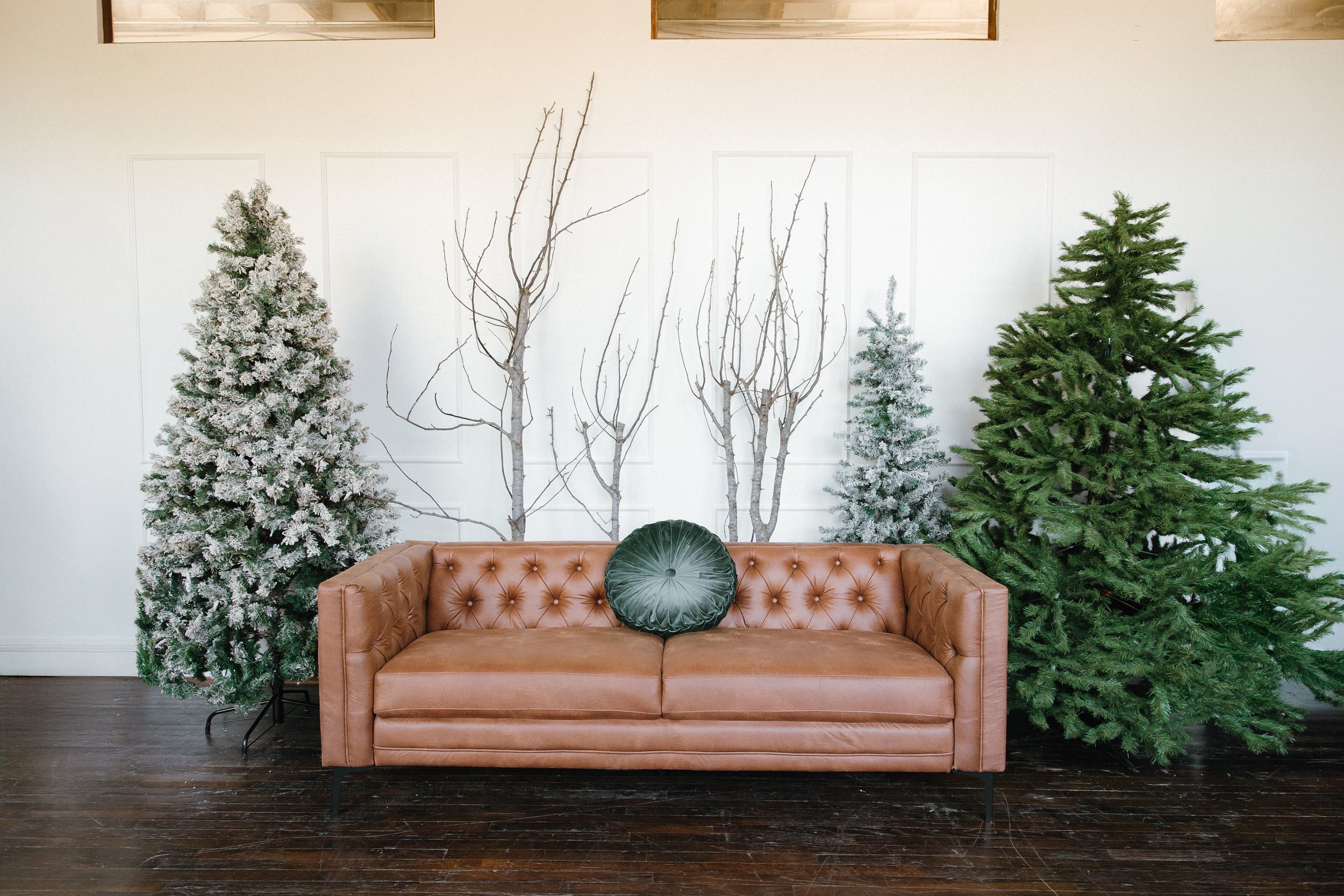 Photo by Freddy The Photographer