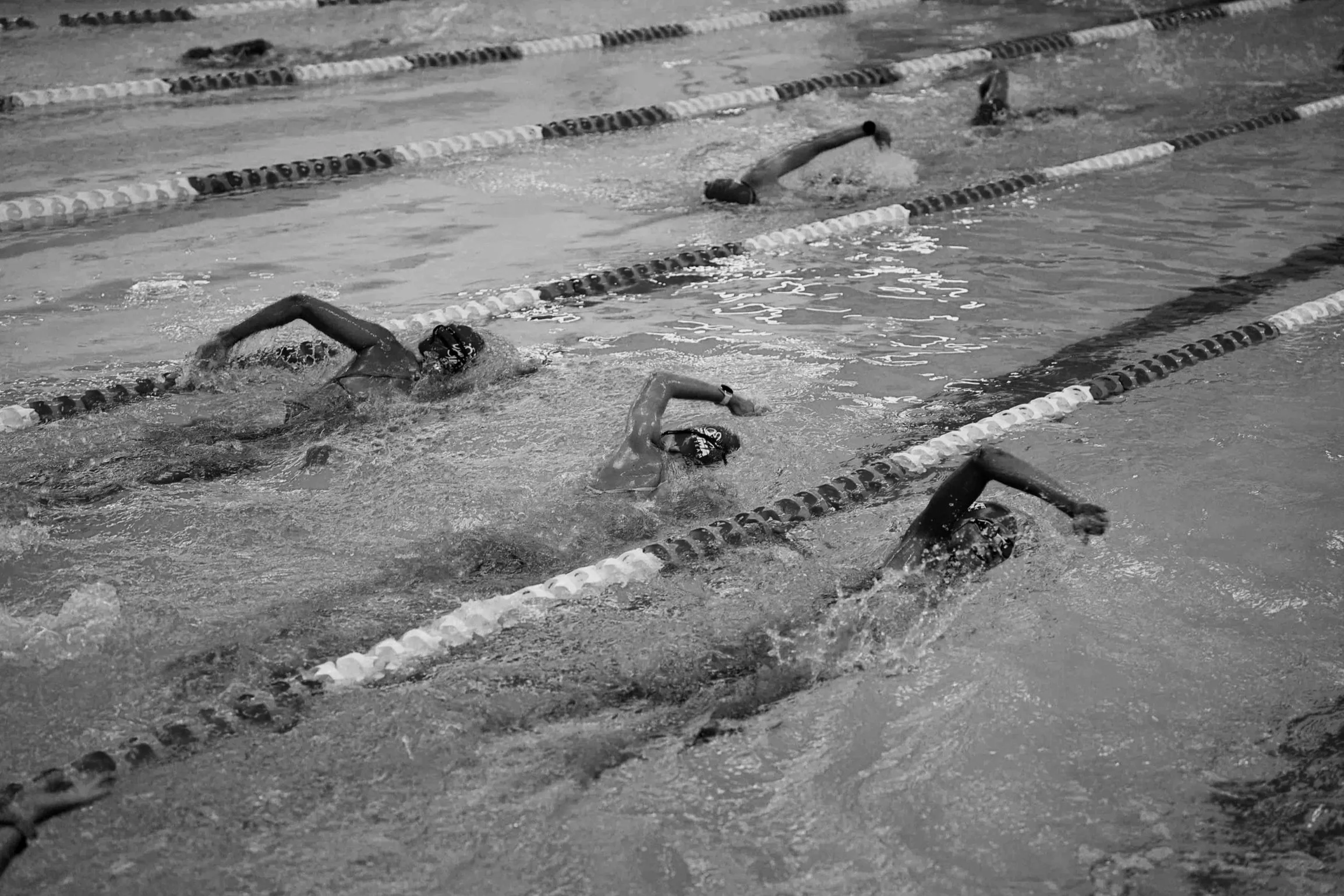 Swimmers racing in a swimming competition, seen from the side, in an indoor pool with black and white lane dividers.