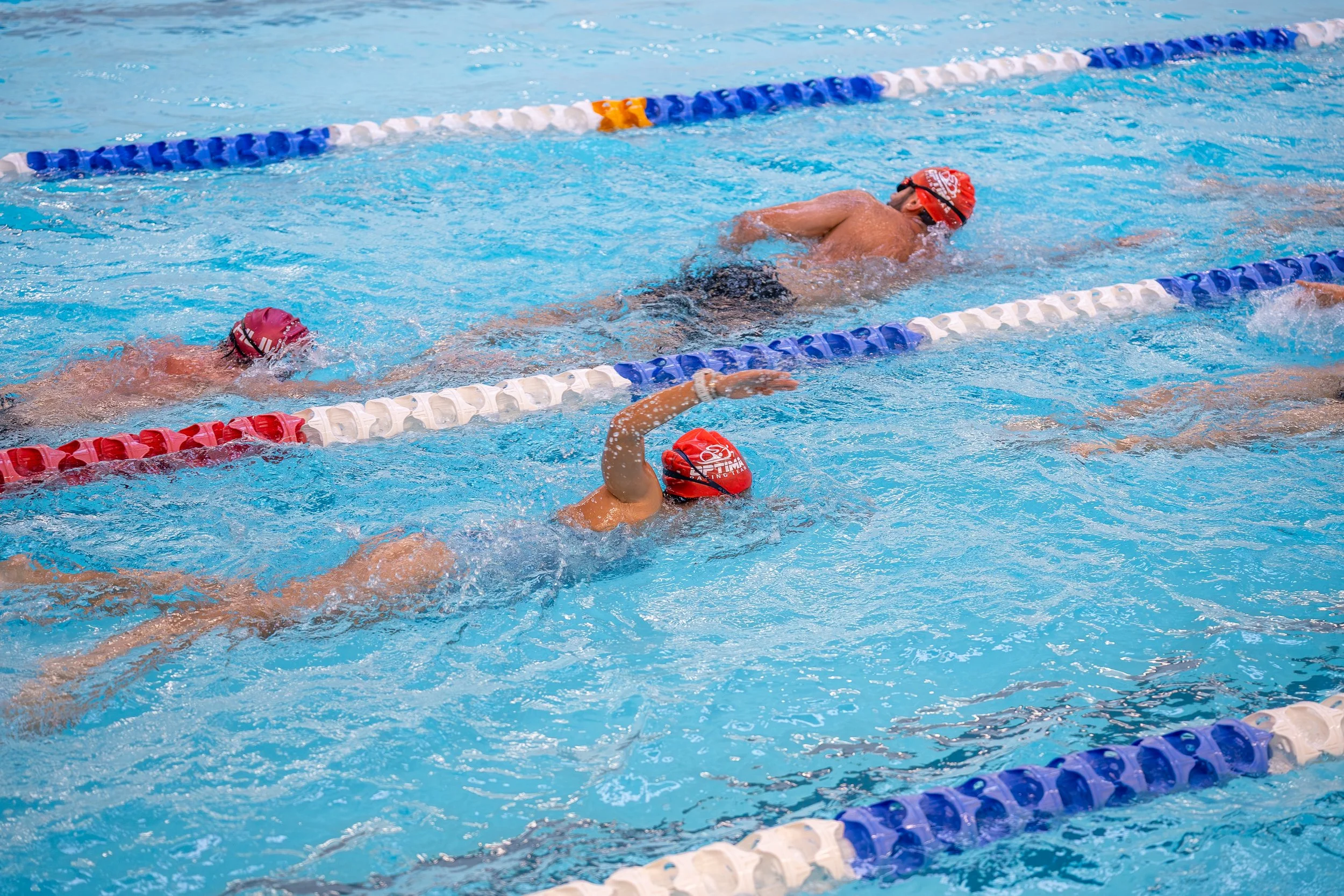 Swimmers in a competition swimming race in a pool, wearing swim caps and goggles, with lane dividers visible.