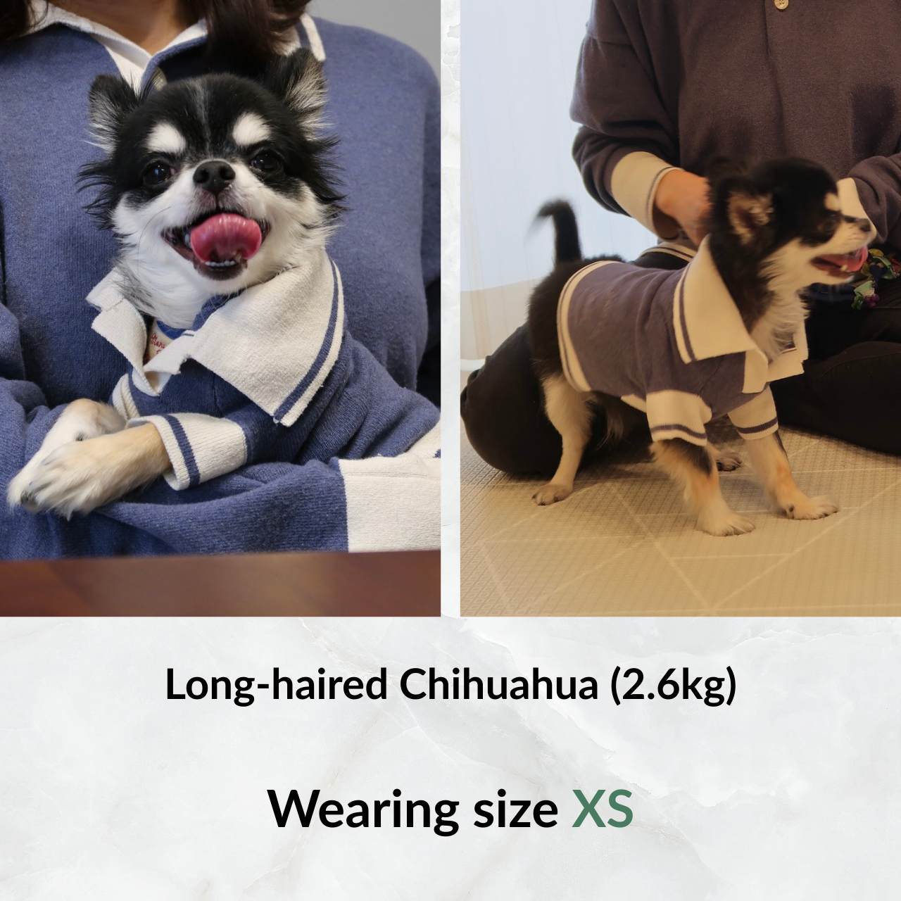 Maison Sou Dog Sweater - Sizing XS.png