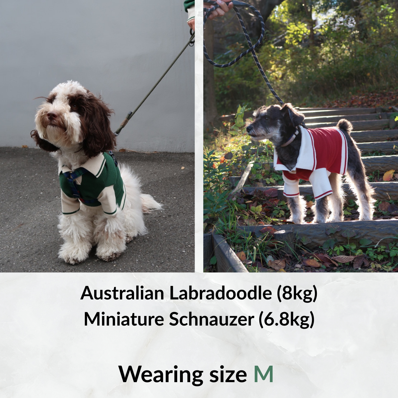 Maison Sou Dog Sweater - Sizing M.png