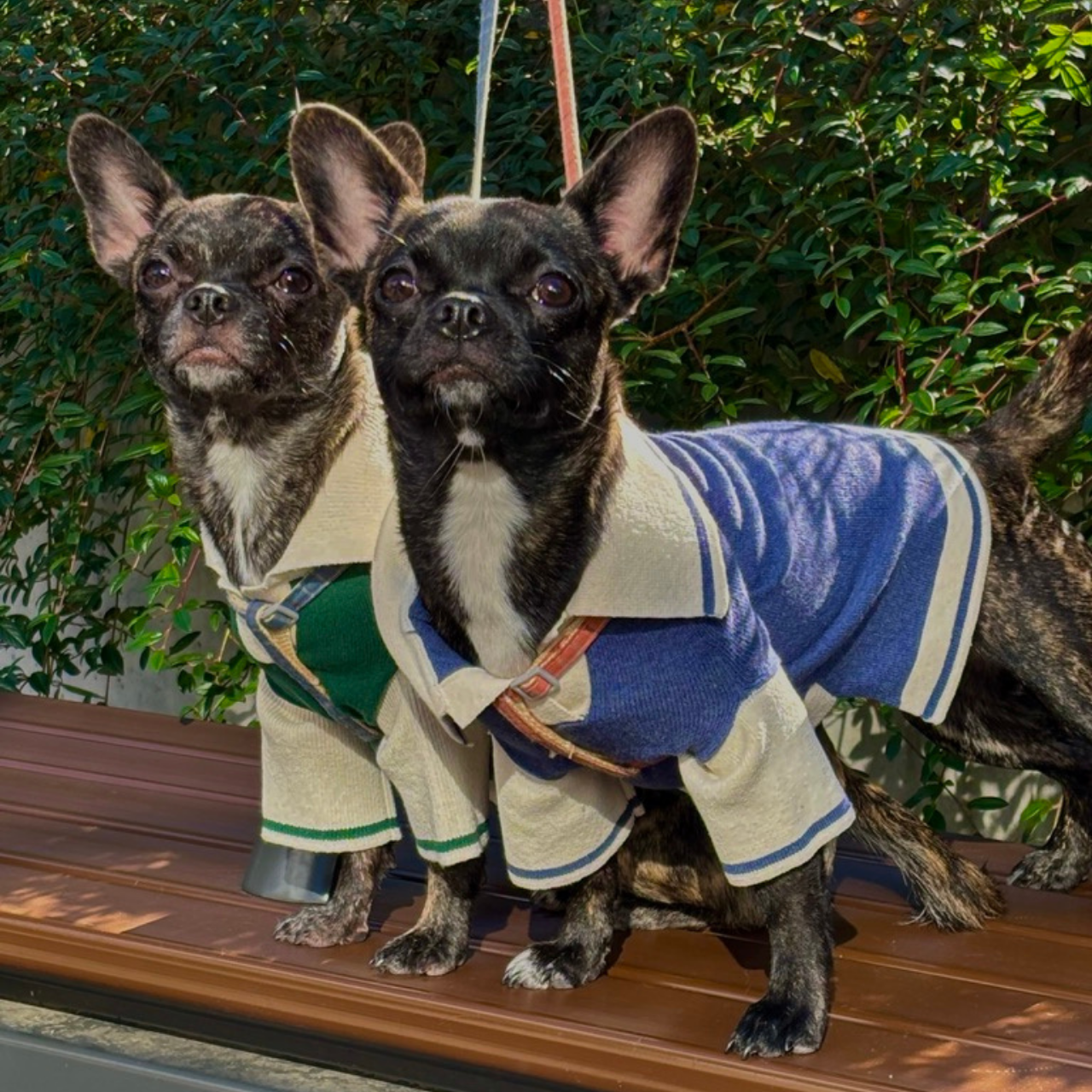 Maison Sou Dog Sweater 2.png