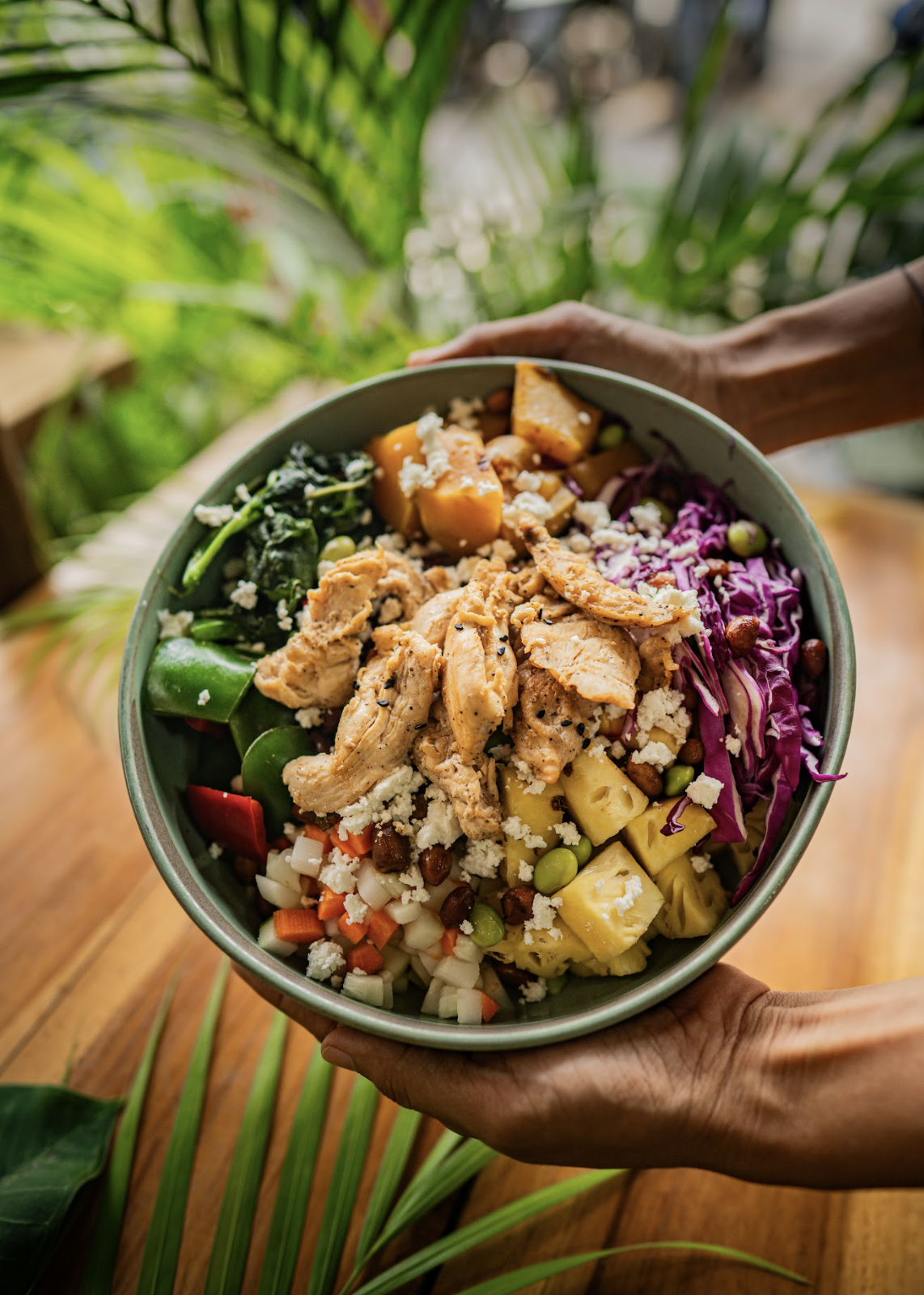 Screenshot 2026-03-16 at 8.17.42 AM.png