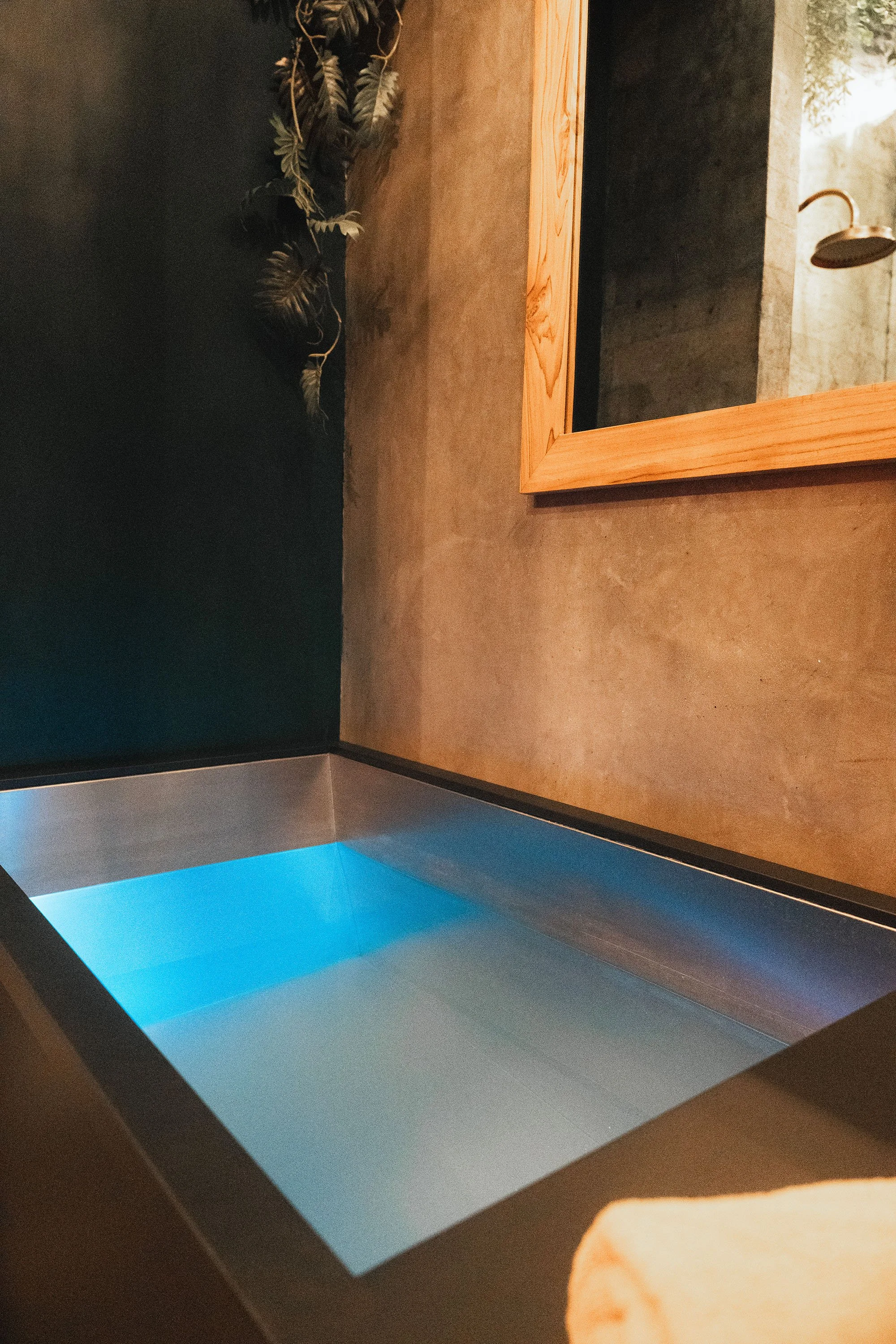 Loka Infrared Sauna & Ice Bath 6.jpg