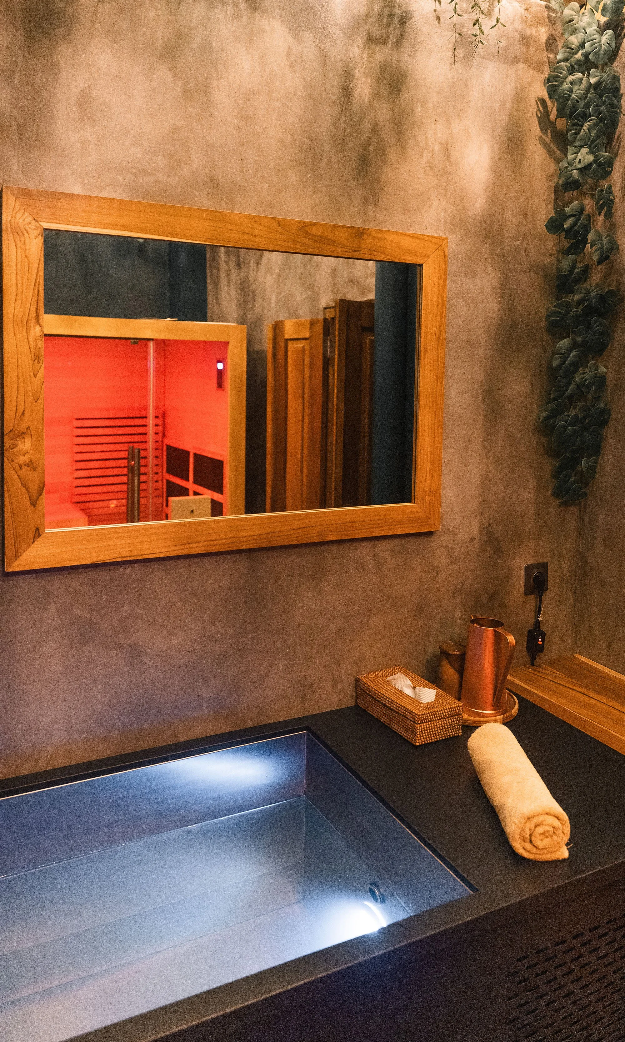 Loka Infrared Sauna & Ice Bath 4.jpg