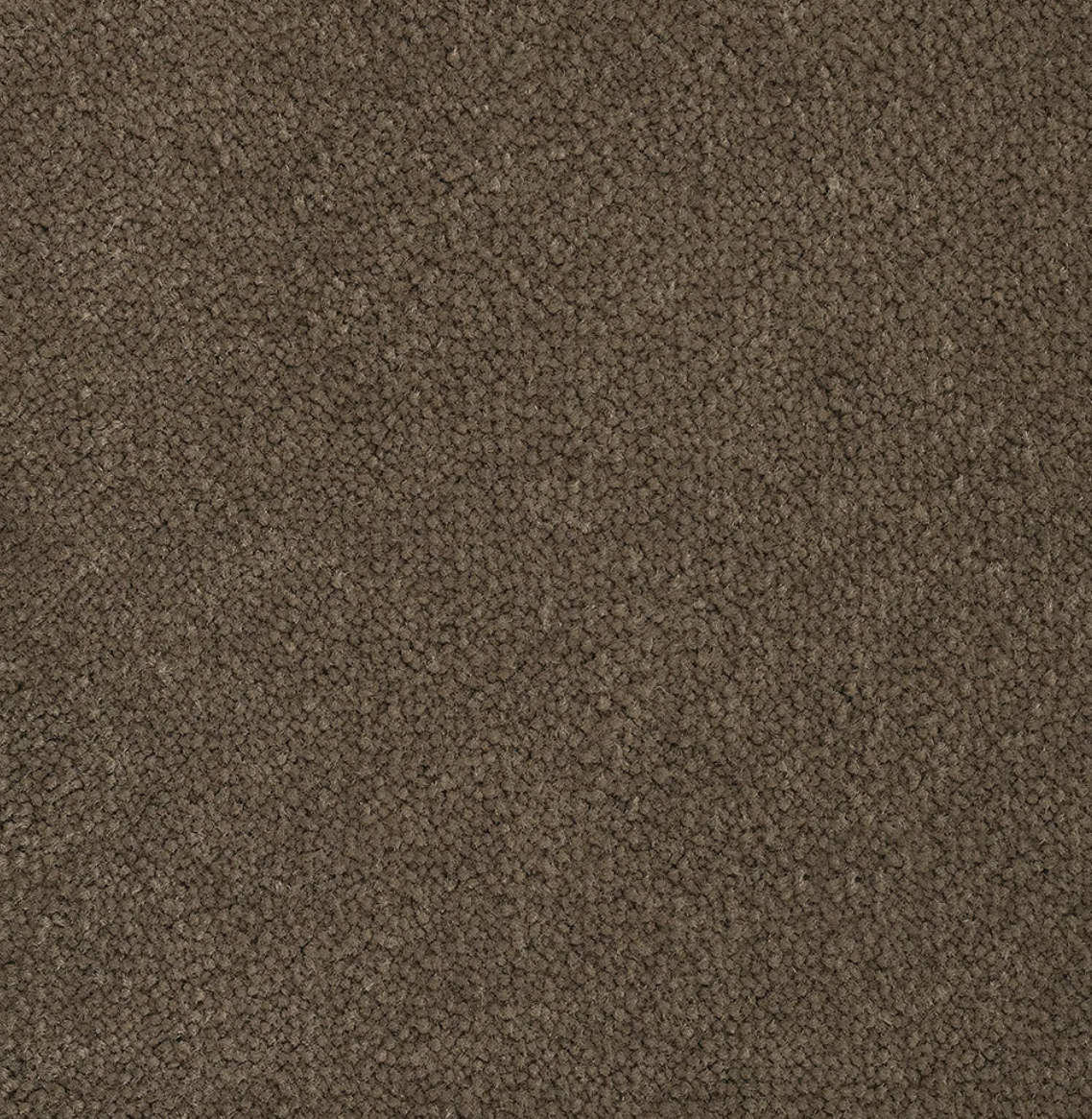 Bloom Taupe