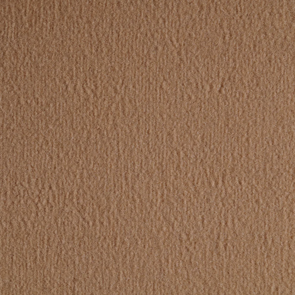 Nexus Biscotto