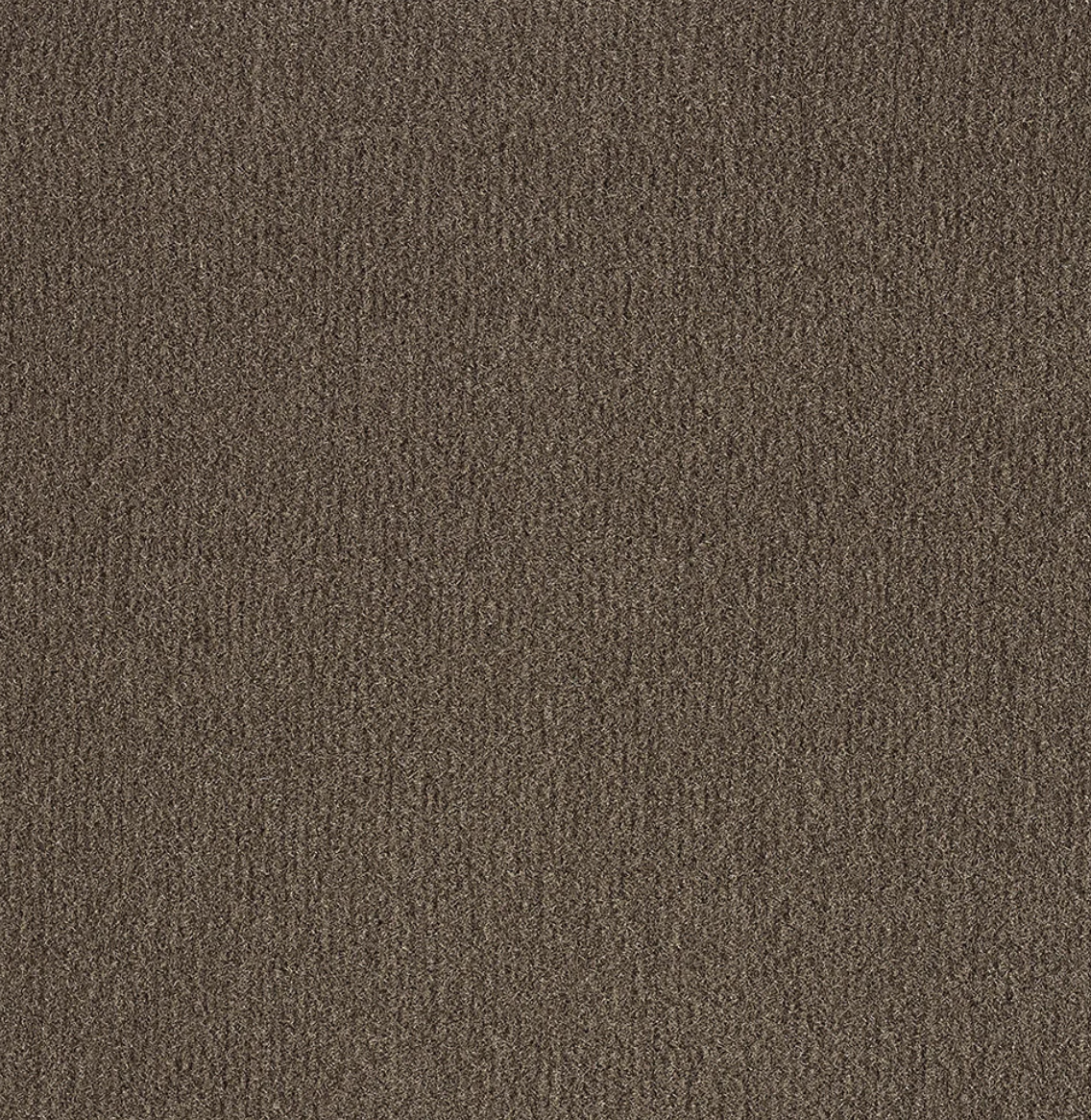Compress chestnut.png