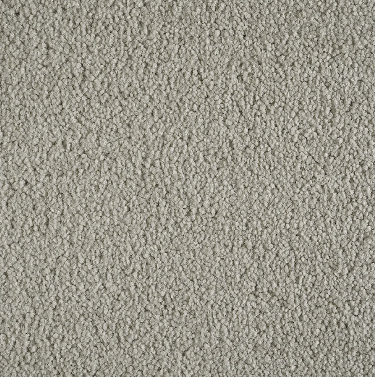 Sydney Dune