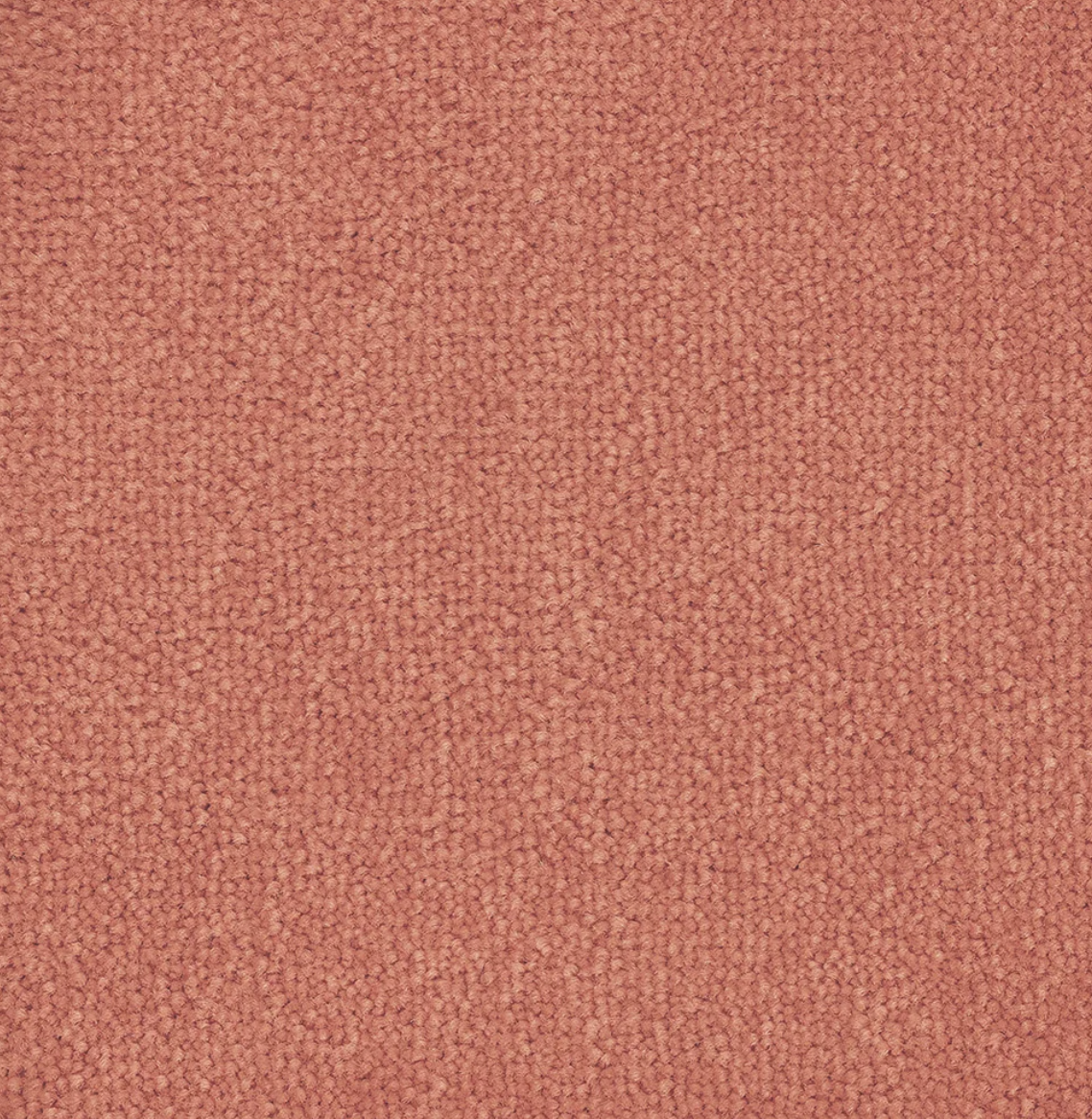 Bloom Flamingo