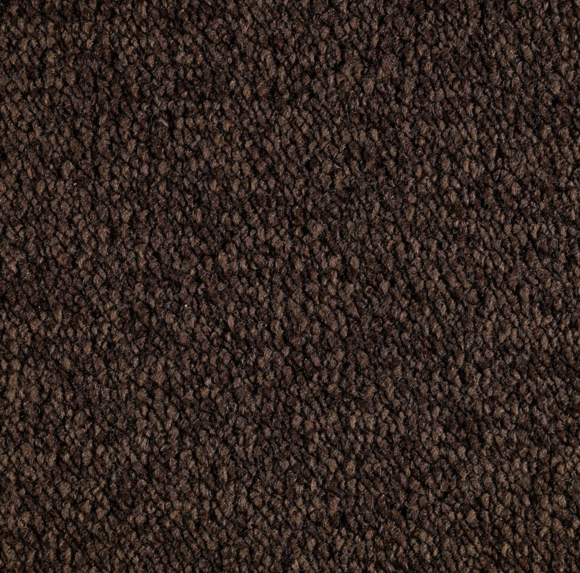 Trotter Camoscio