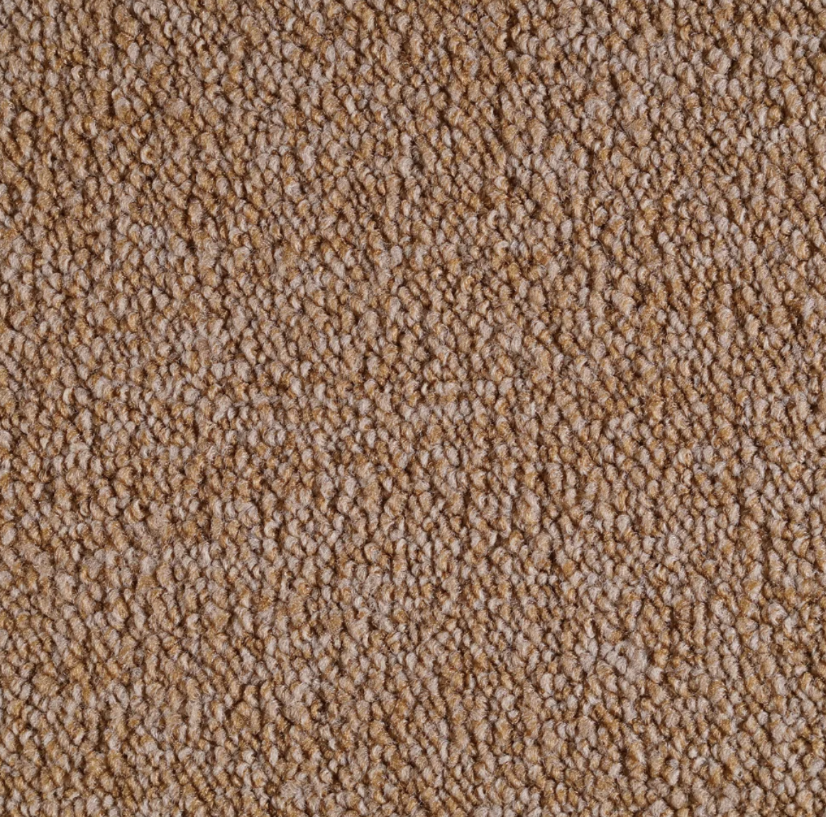 Trotter Terracotta