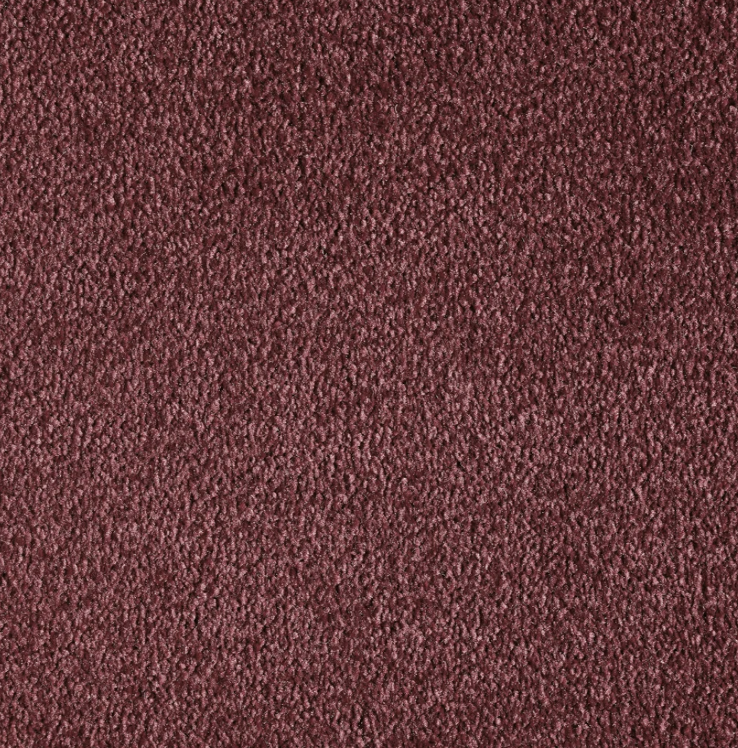 Divina Blush