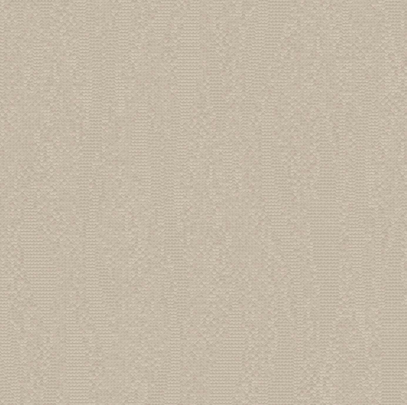 Z54523