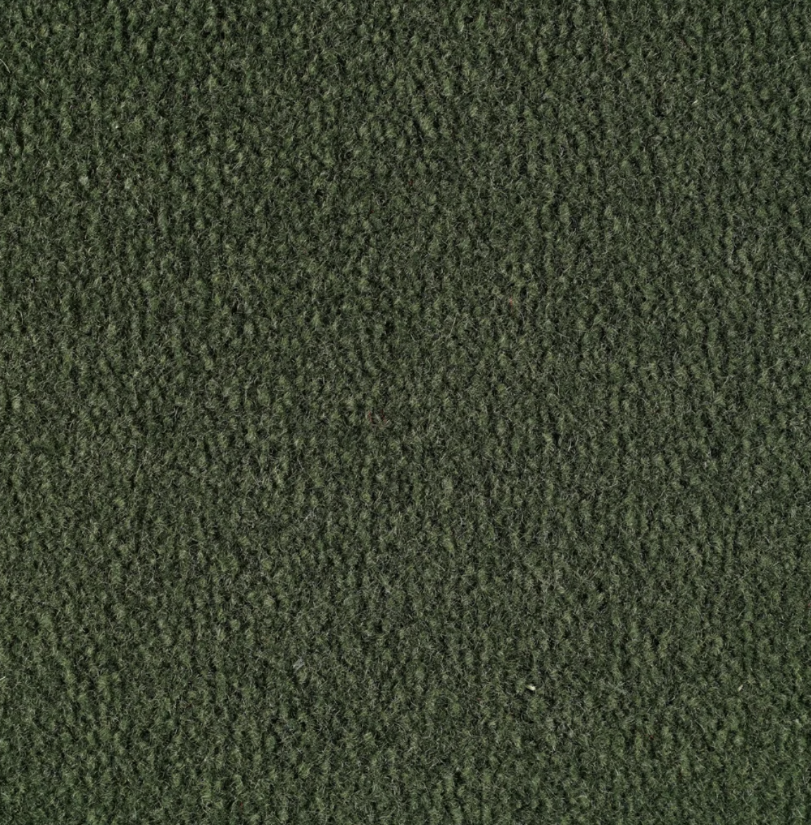 Monte Carlo Cedar