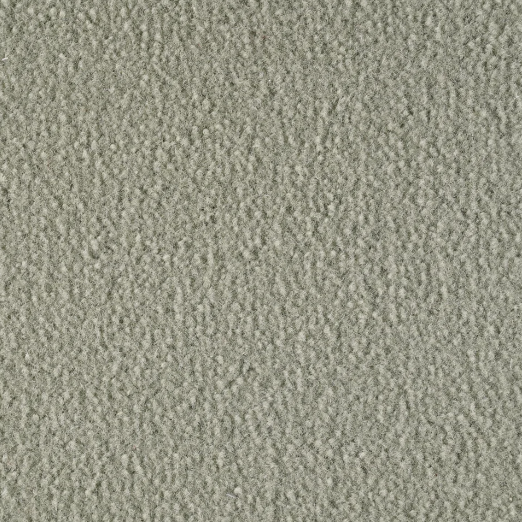 Monte Carlo Softpine