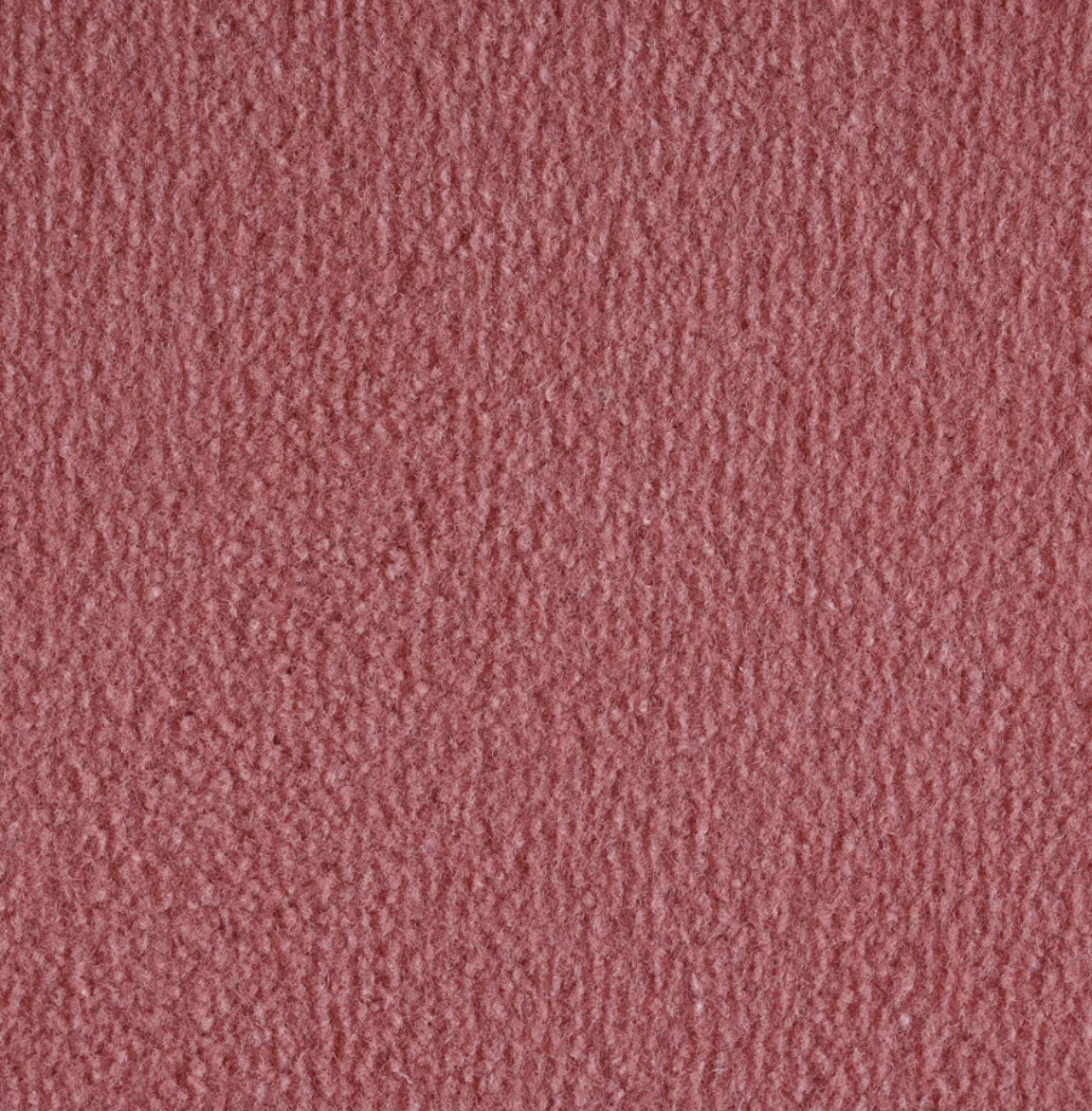 Monte Carlo Coral