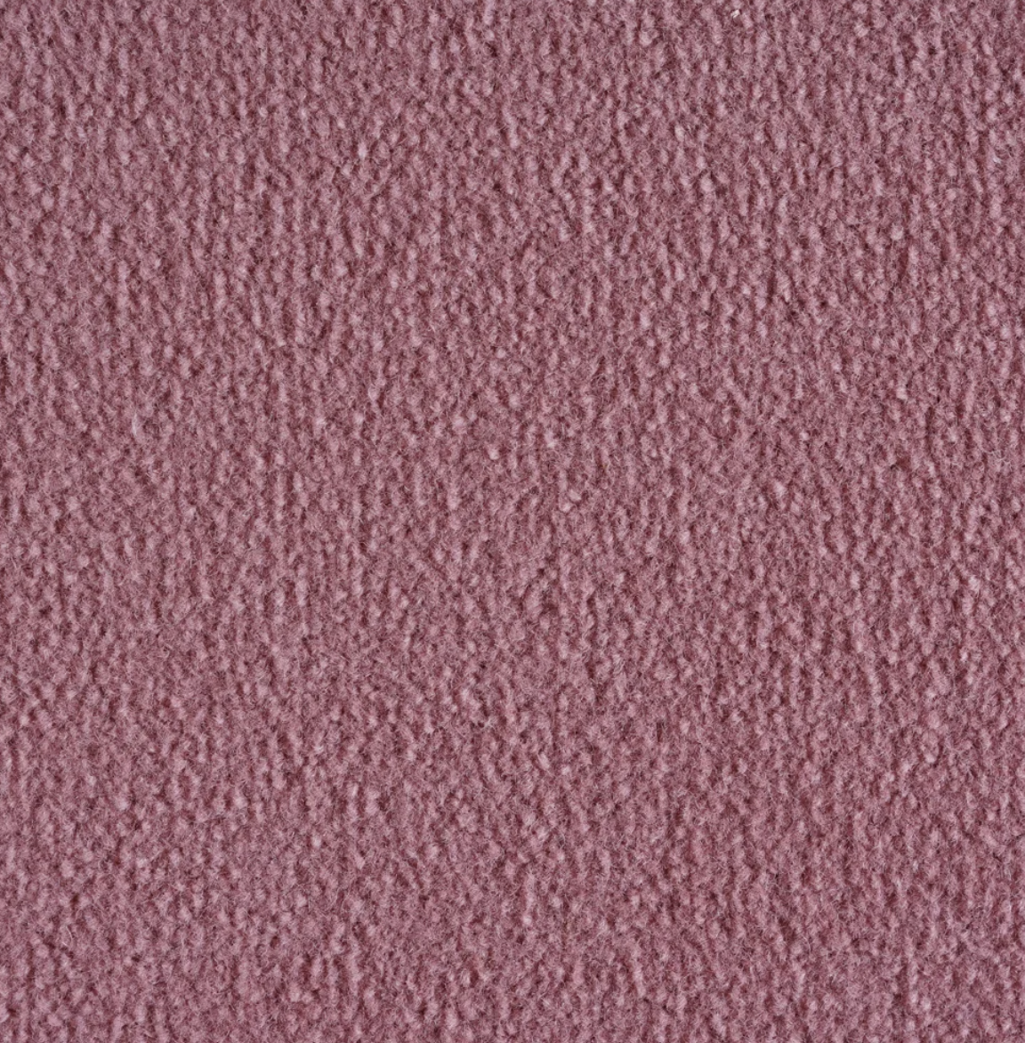 Monte Carlo Shellpink