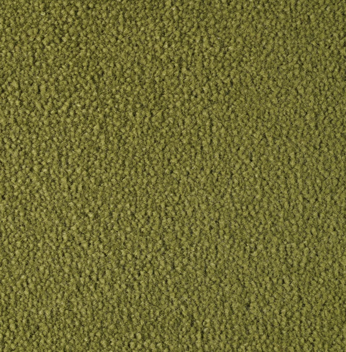 Monte Carlo Olive