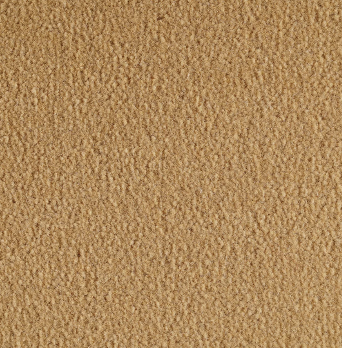 Monte Carlo Sand