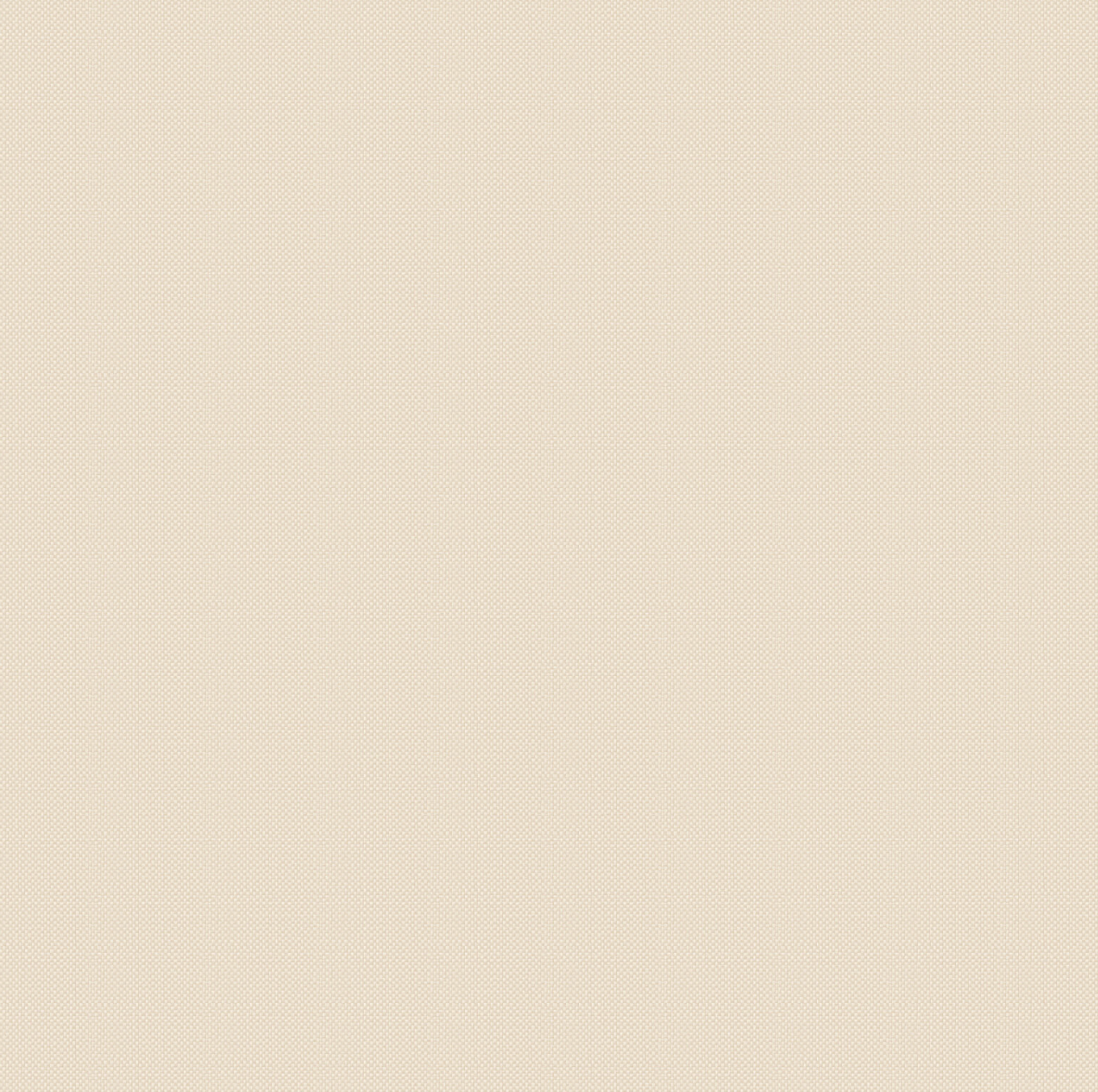 Nite Z47831