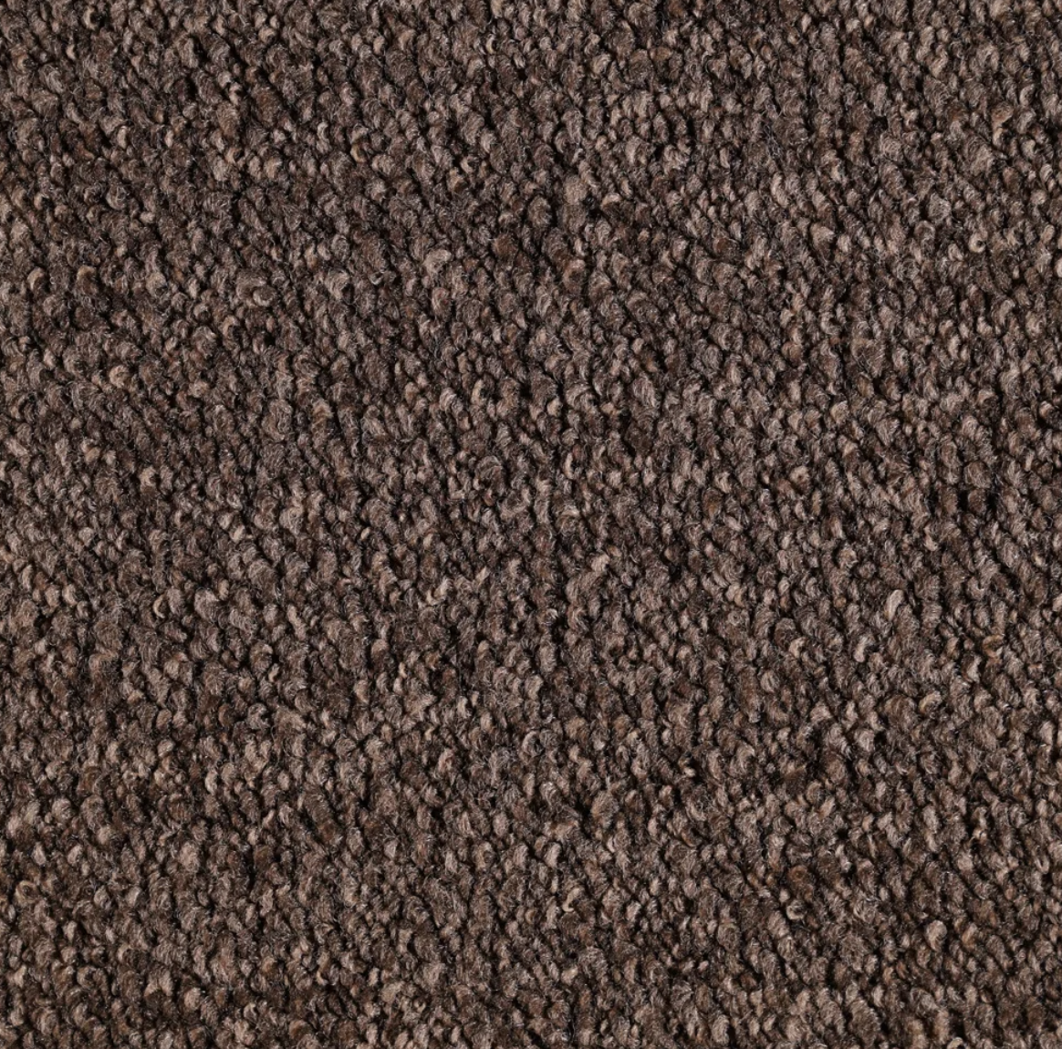 Trotter Cacao