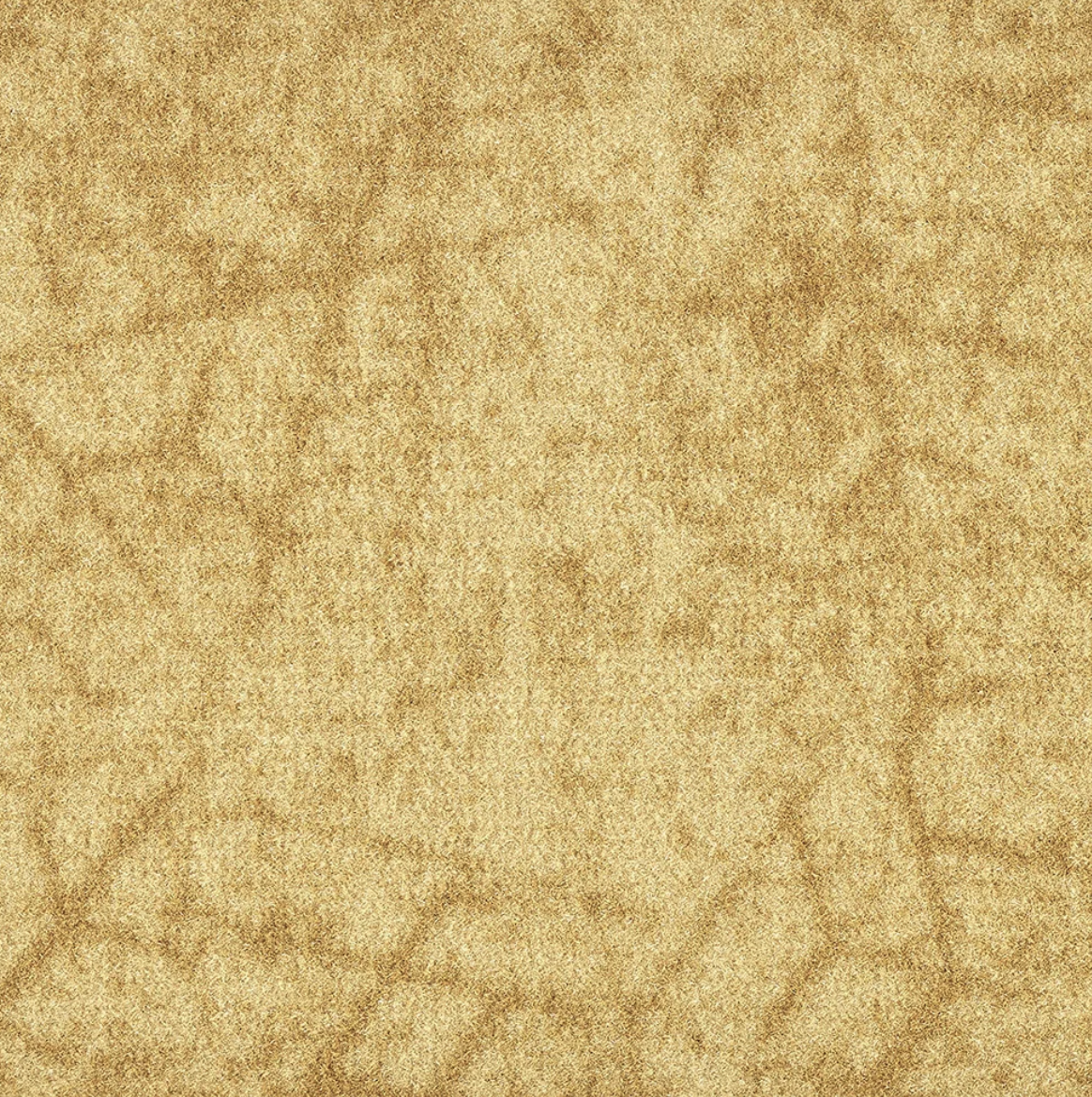 Oscar Dune