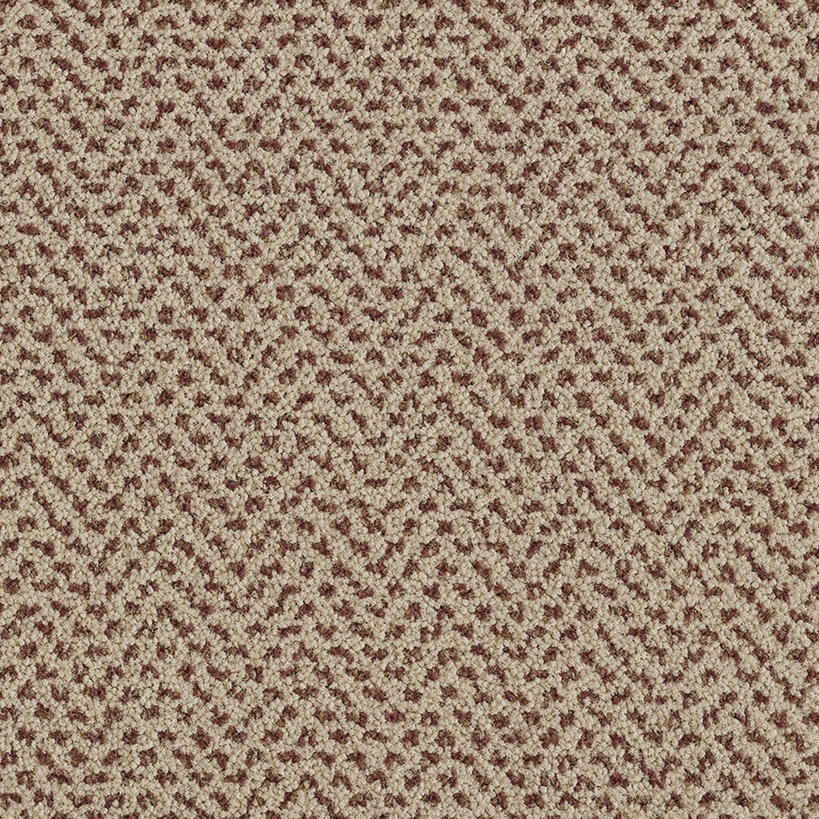 Verona leopardo