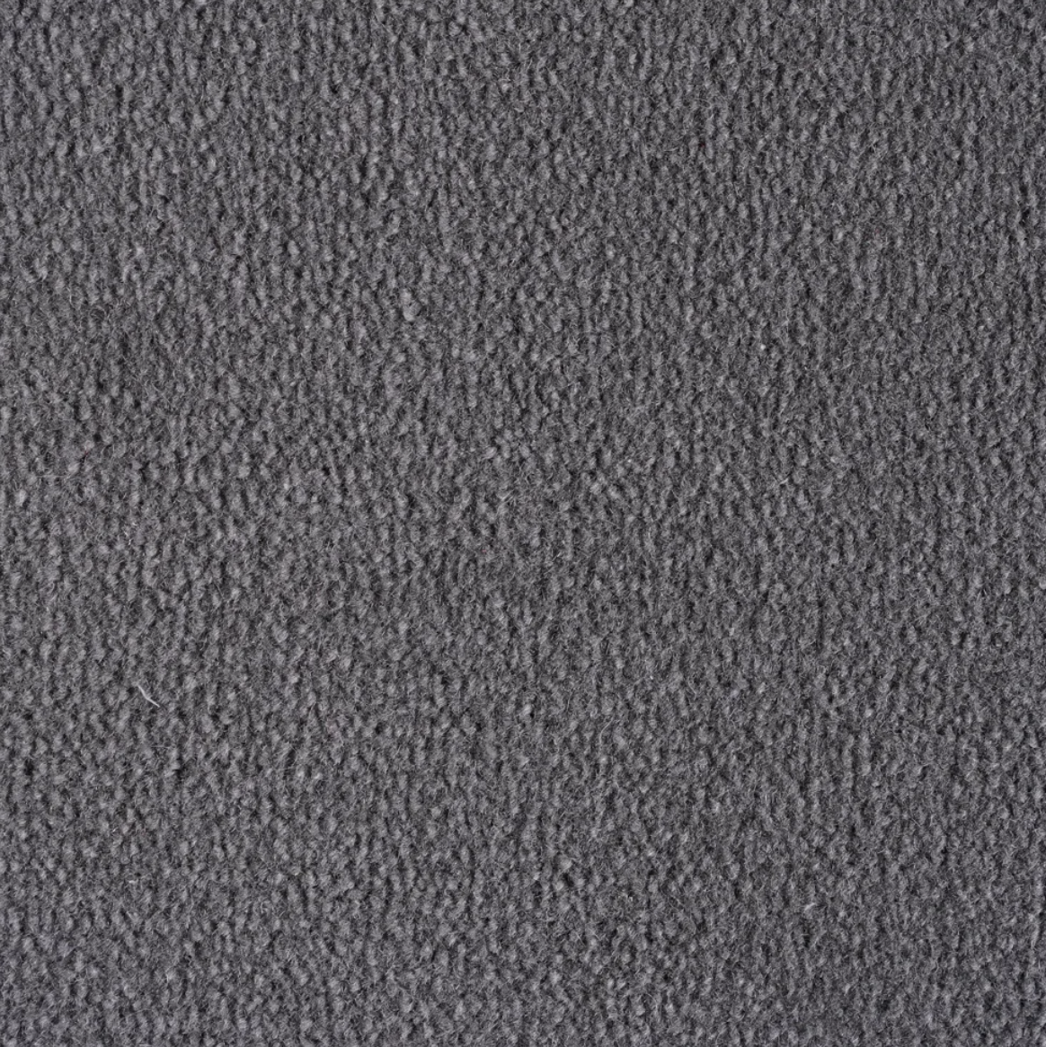 Admiral Charcoal