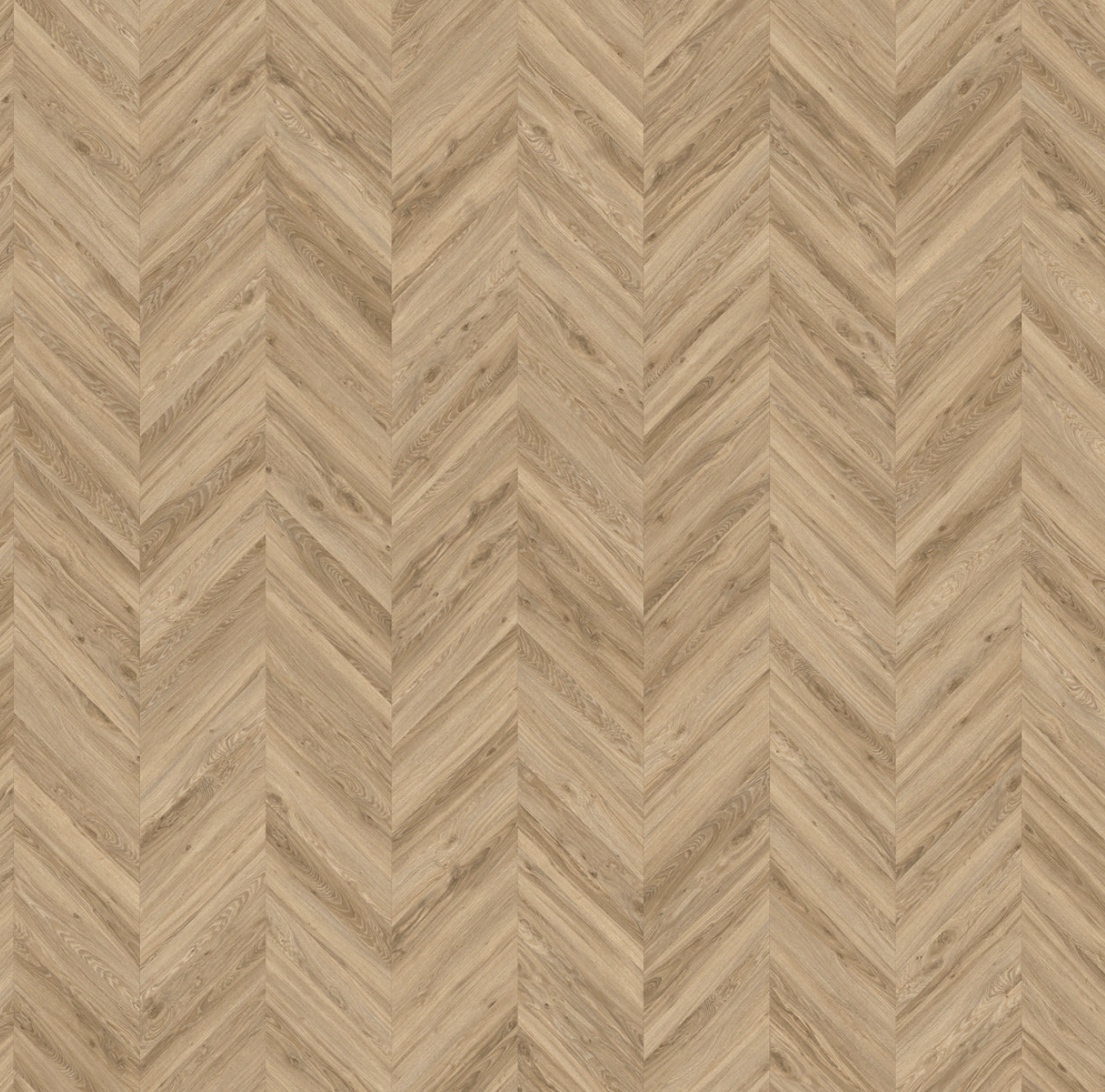Chevron Mono 595