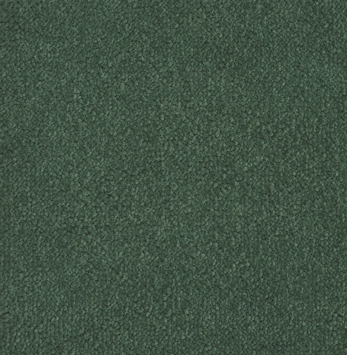 Bloom Forest