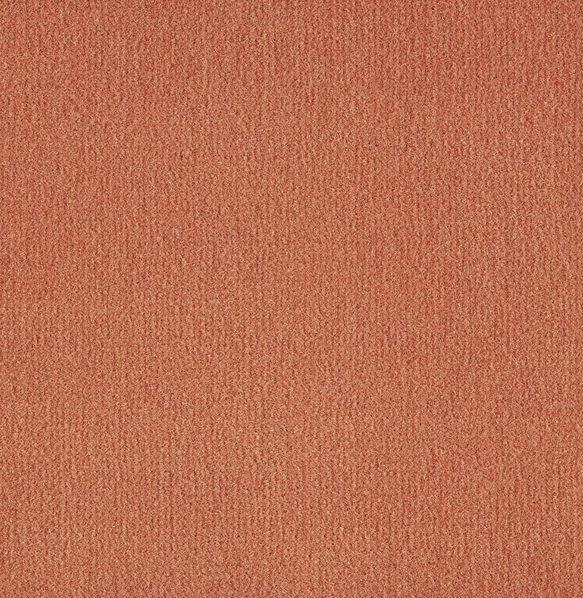 Compress coral.png