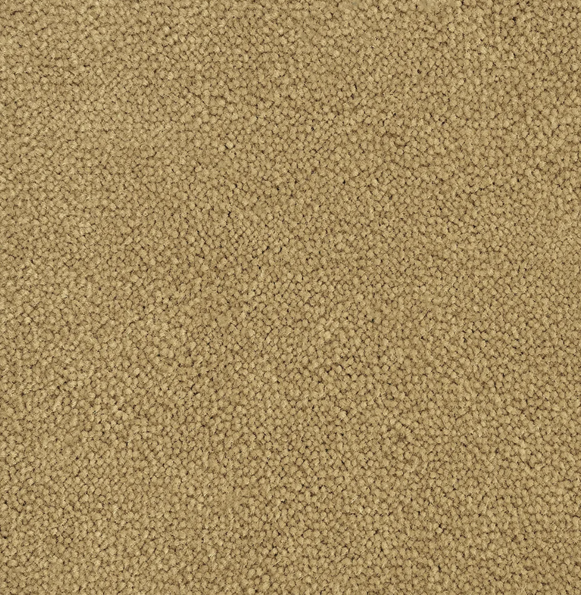 Bloom Sand