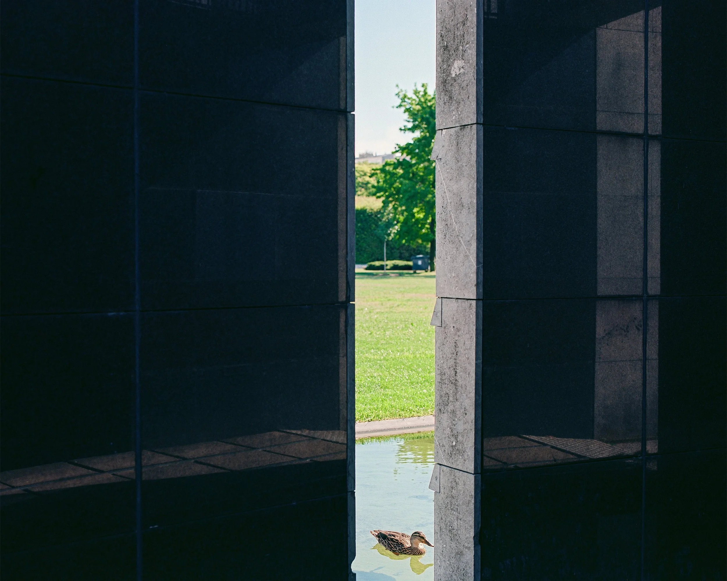 J'ai choisi de photographier ce projet en pellicules  argentiques et en moyen format. Ici, dans le parc André Citroën - Paris.