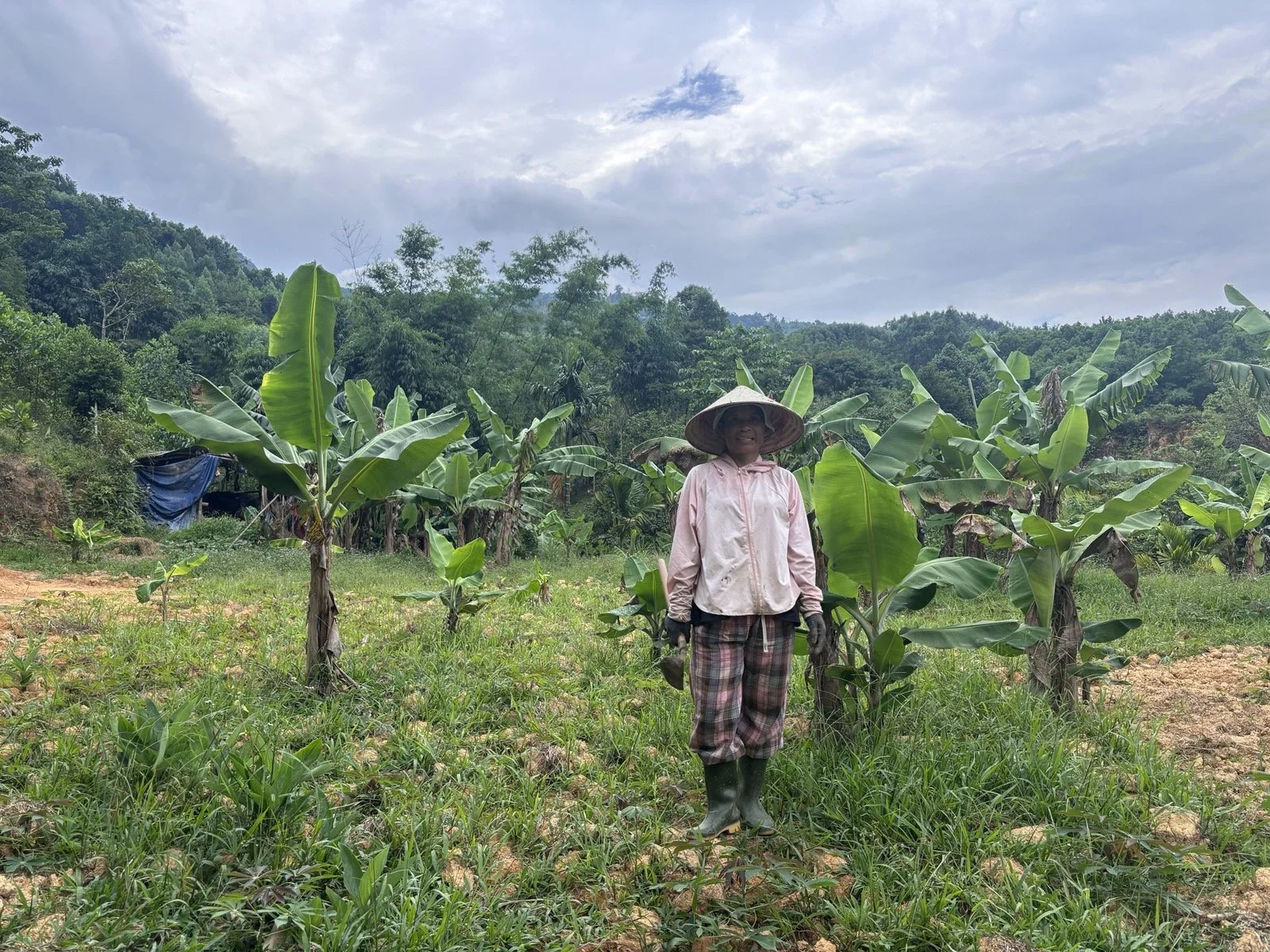 A farmer, showing off her banana garden.