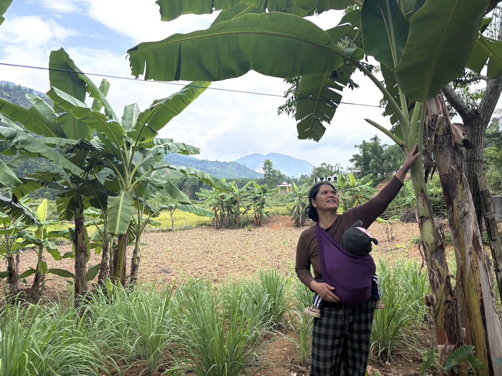A local farmer, showing off her banana garden.