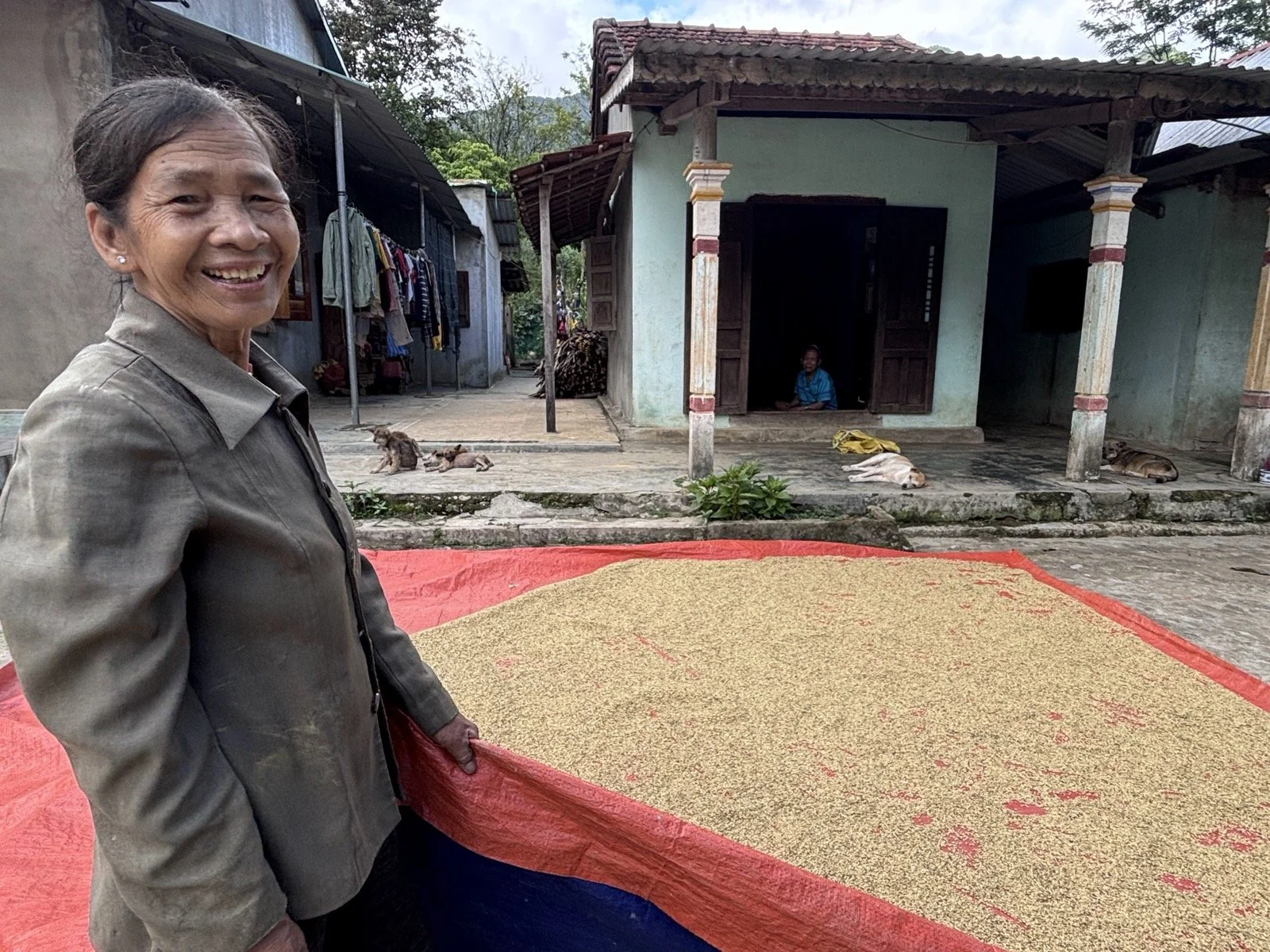 One of our farmer friends is drying rice for 3 days so that she can prepare it to package.