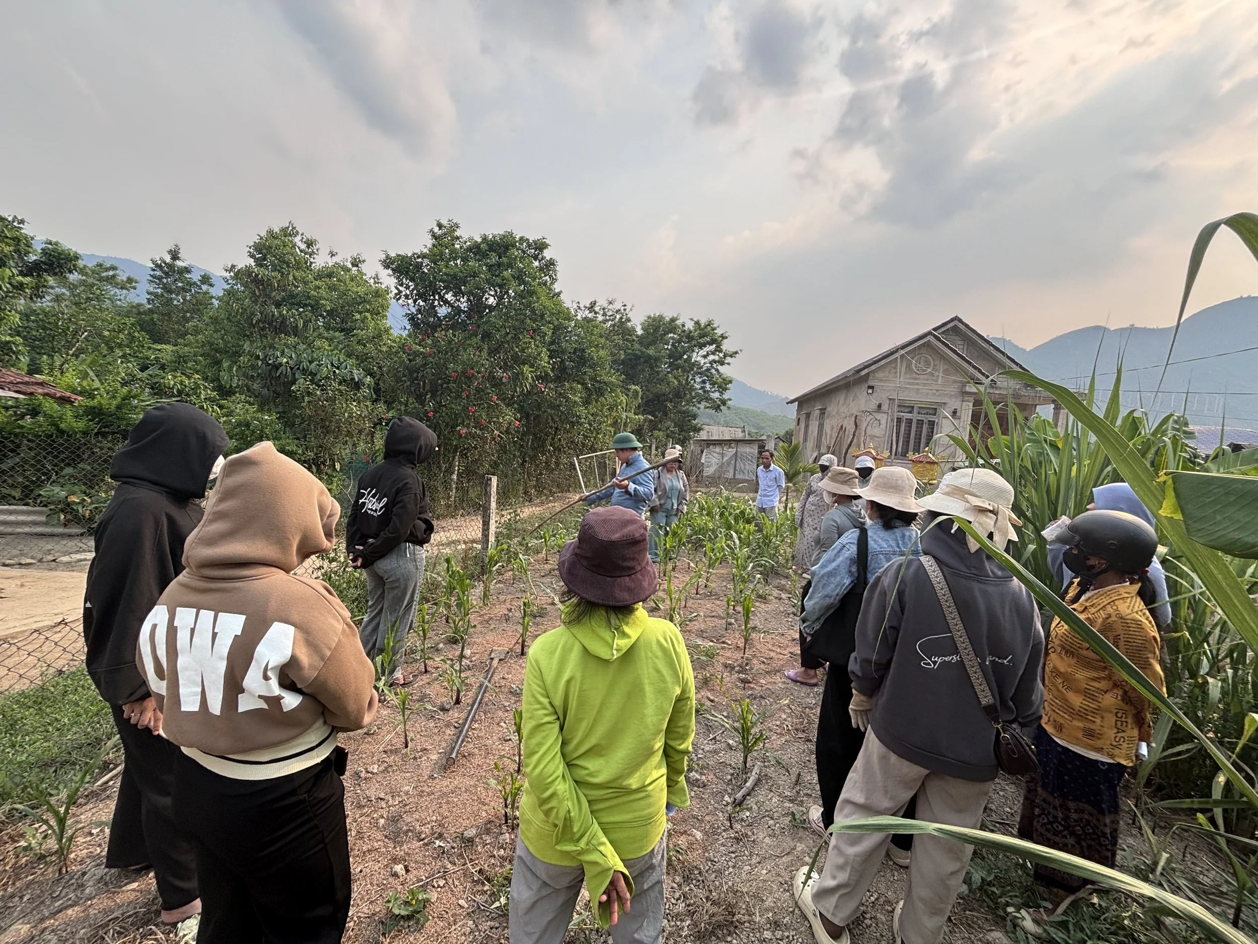 local training for banana trees