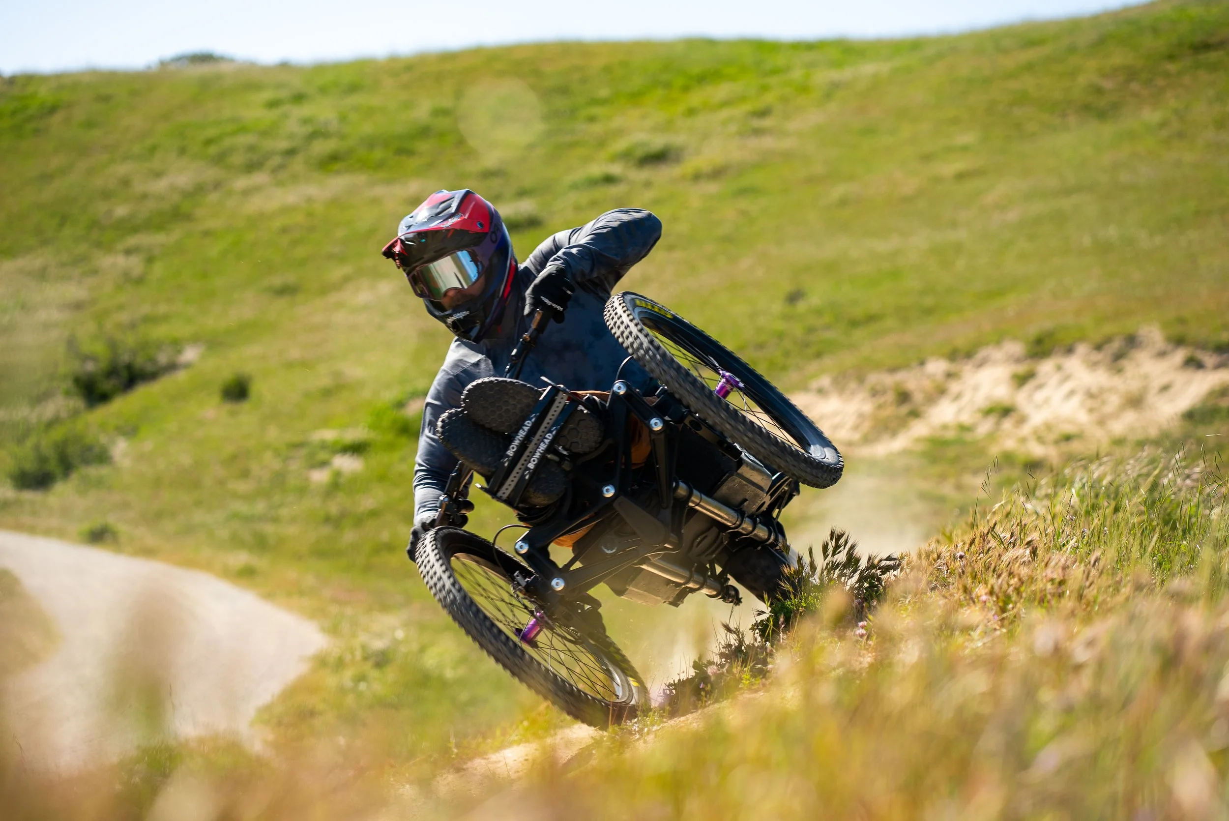 Sea Otter: The Lunatics