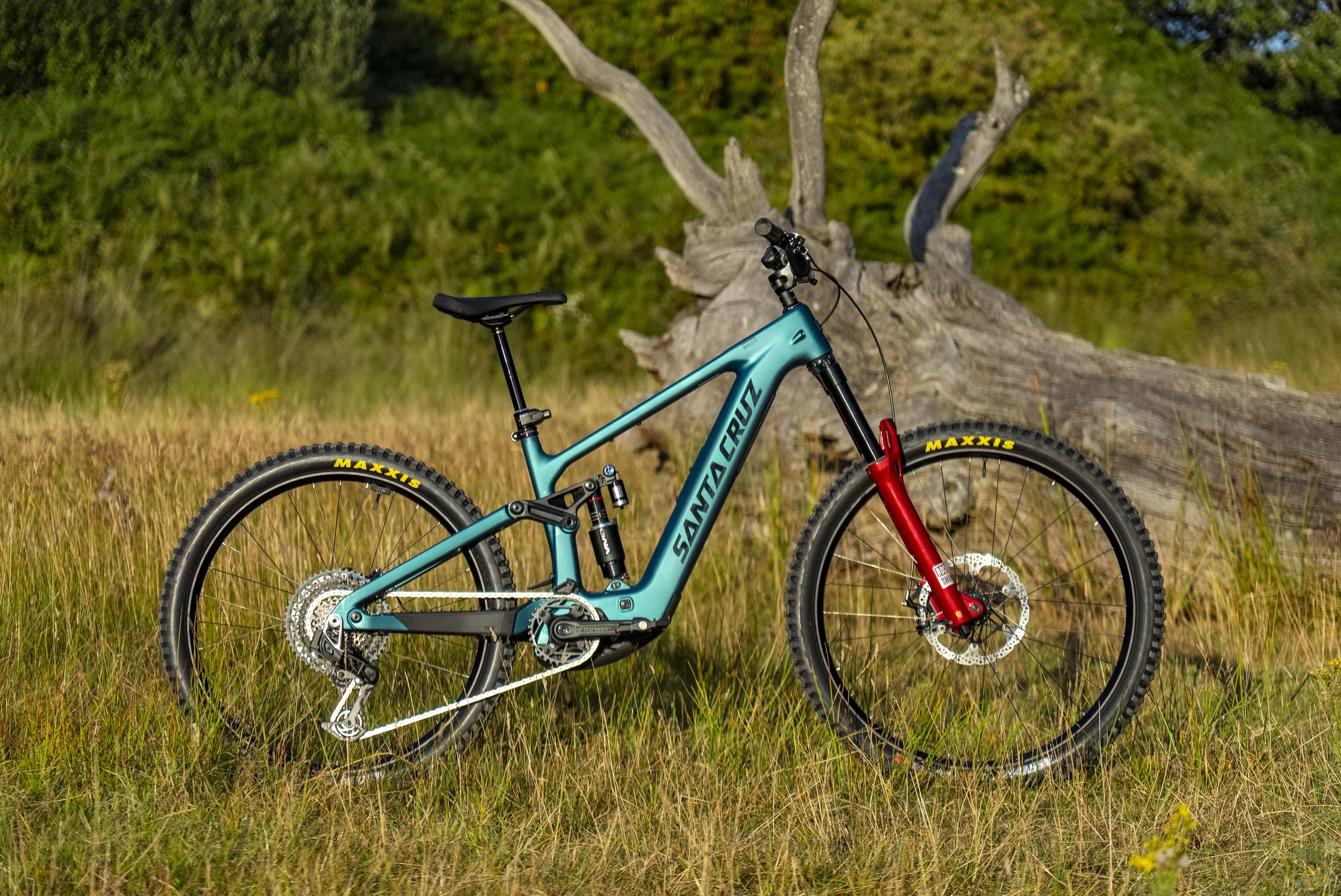 Santa Cruz Bullit