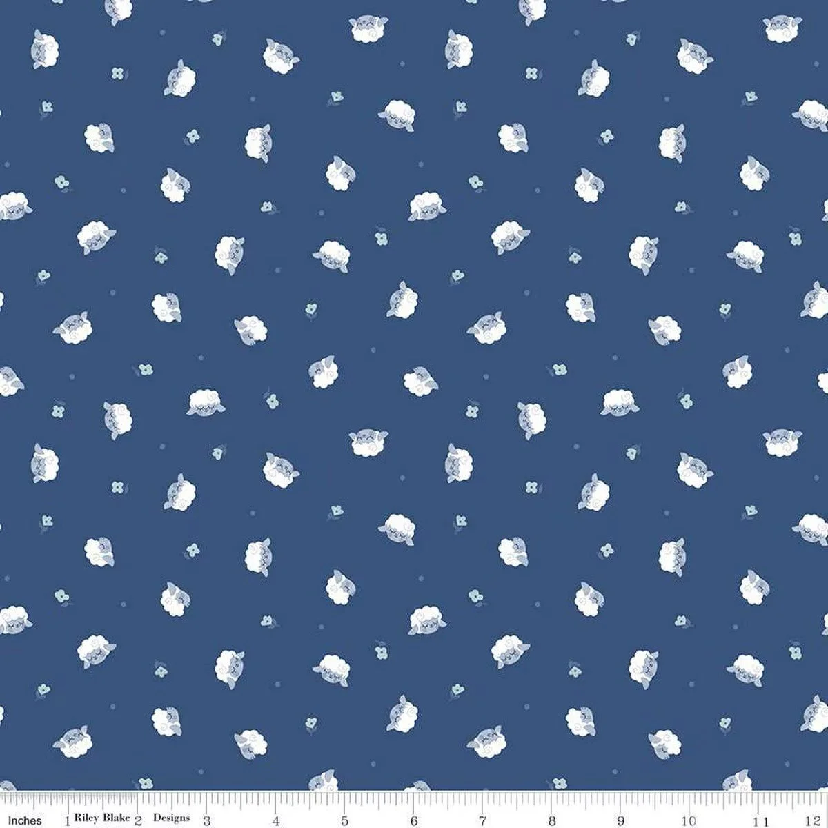 C16304-NIGHTTIME_media-1 (1).jpeg