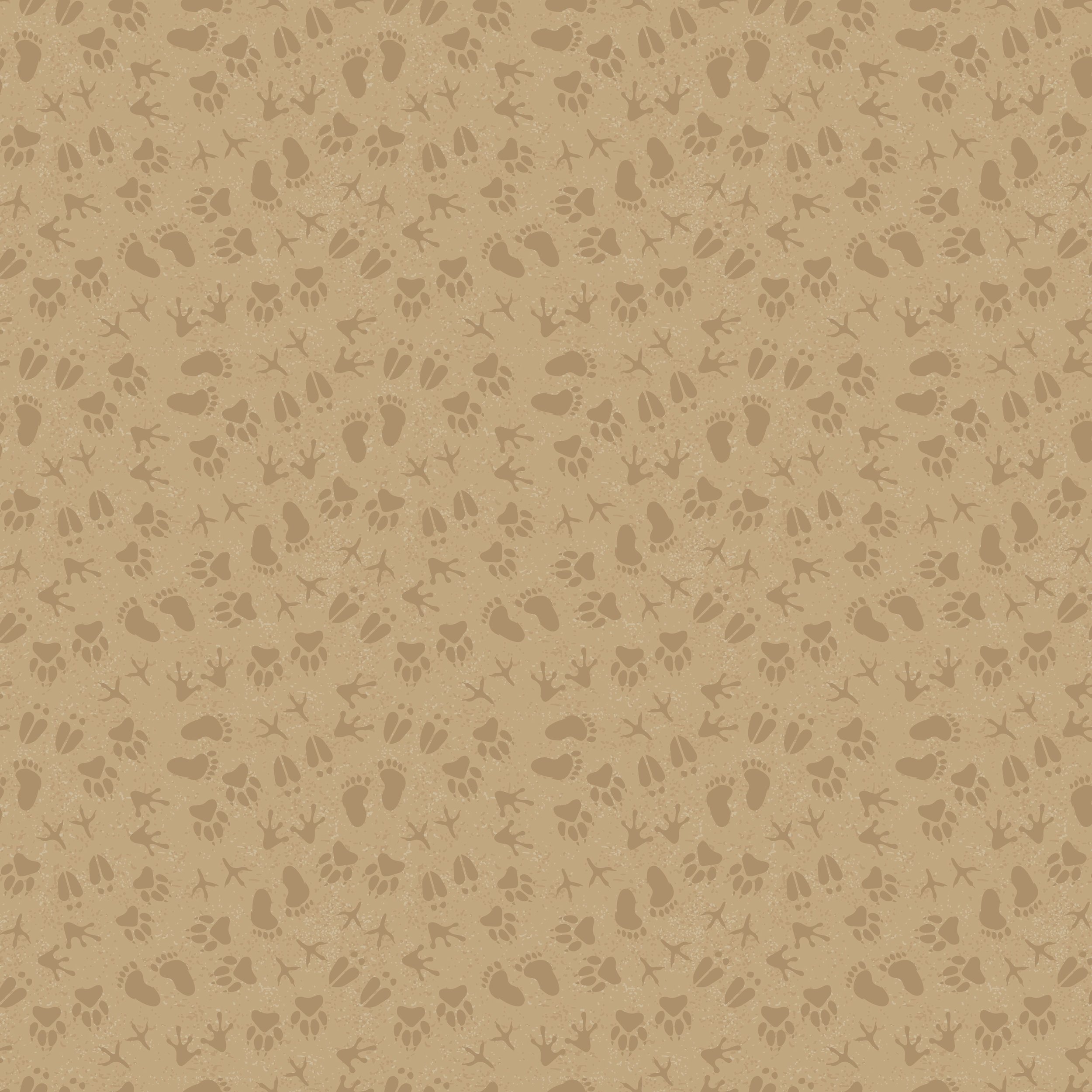 C13285-SAND.jpeg