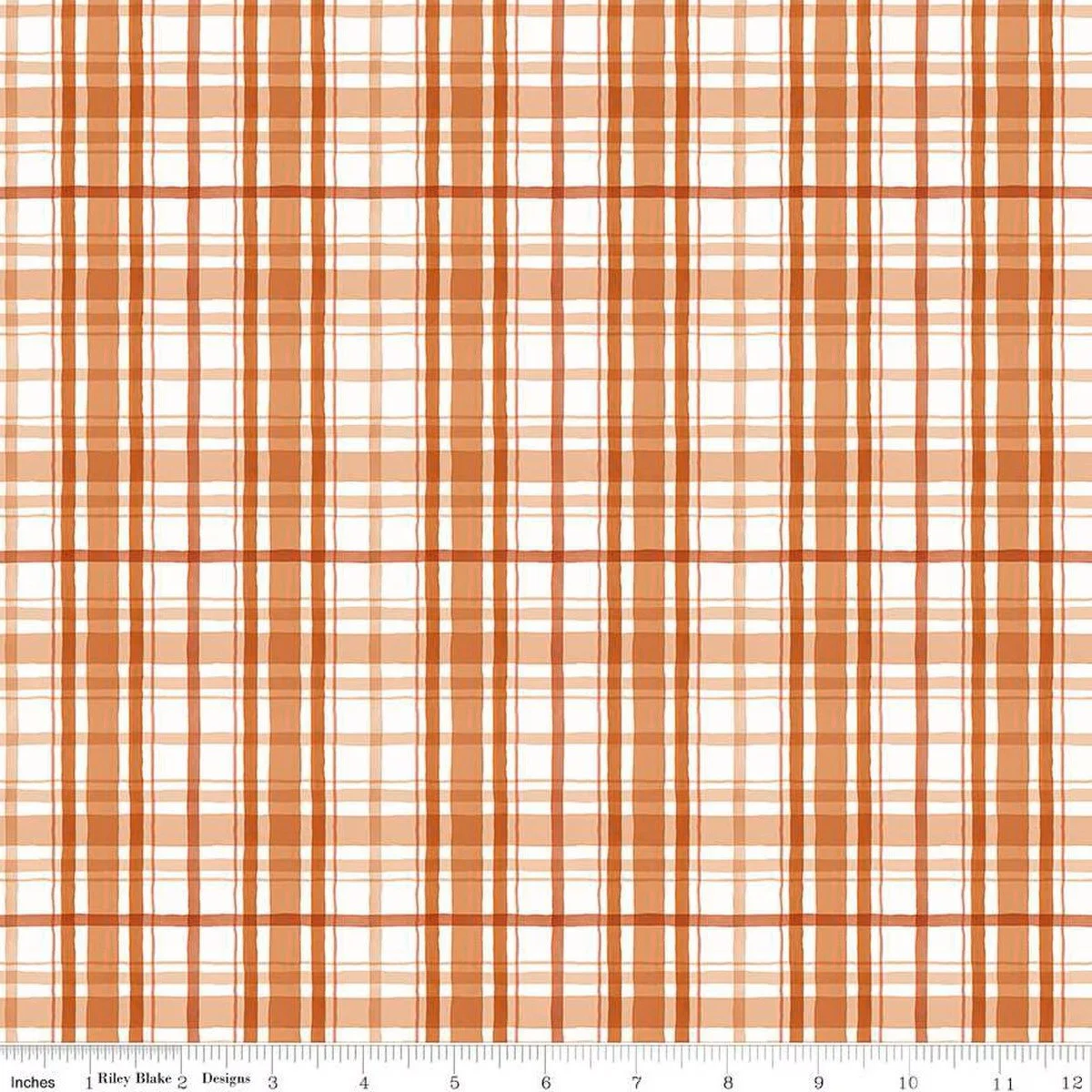 C16453-RUDOLPH_media-1 (1).jpeg