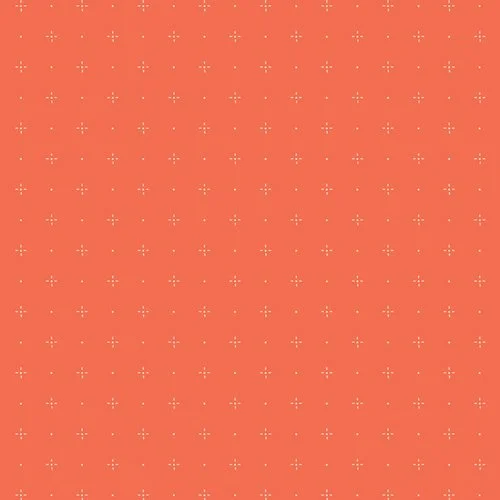 DWM-45603-Starry-Orange-You_500px (1).jpg