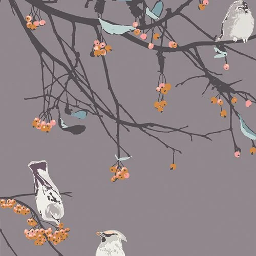 BLI-85606-Bird-Songs-Sun_500px.jpg